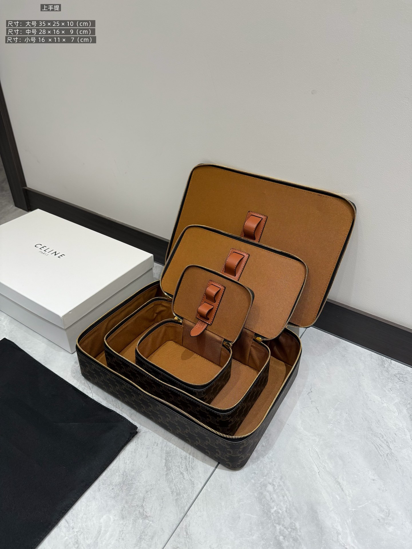 Celine Luxury Handbag Collection 9