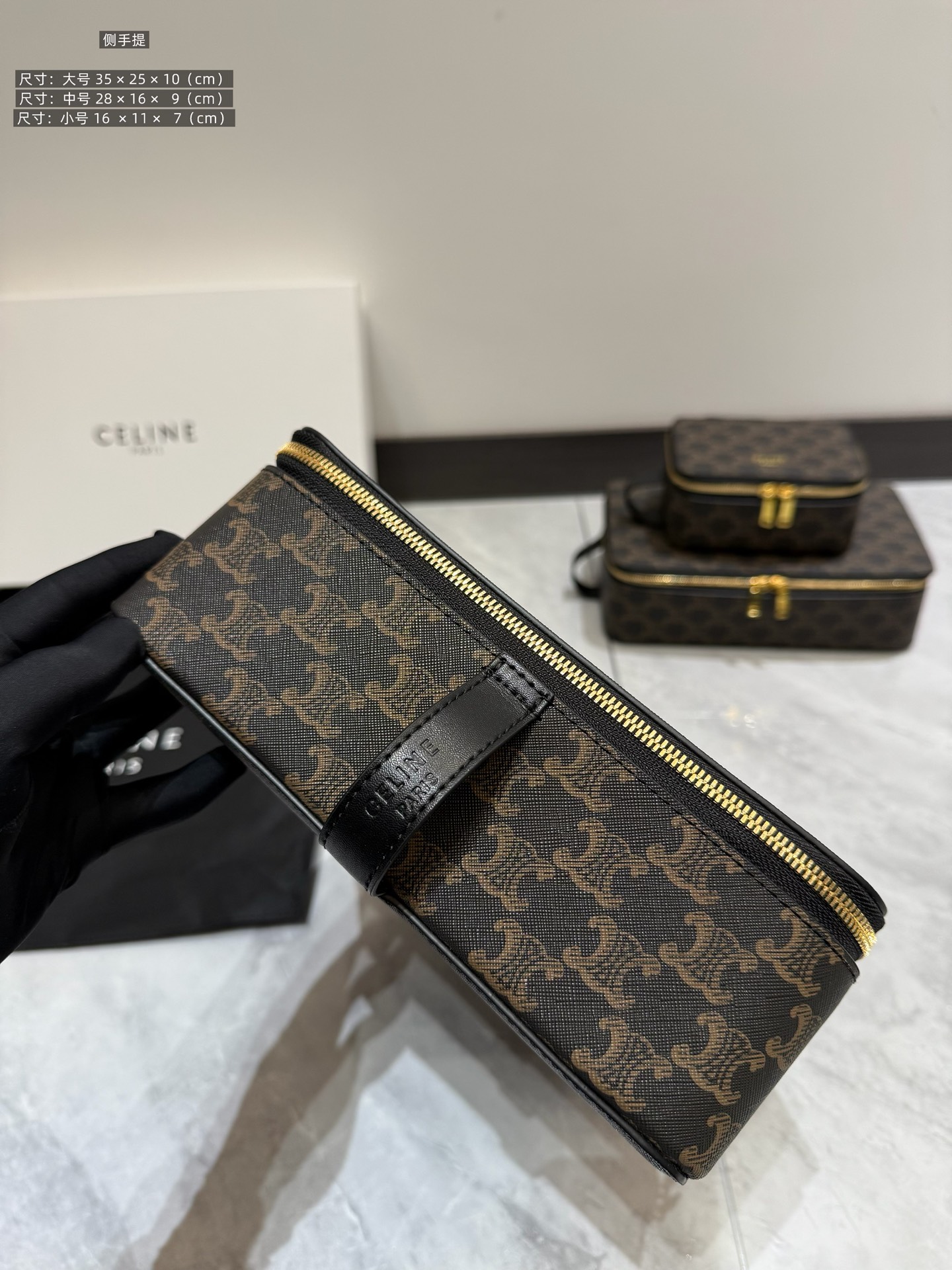 Celine Luxury Handbag Collection 4