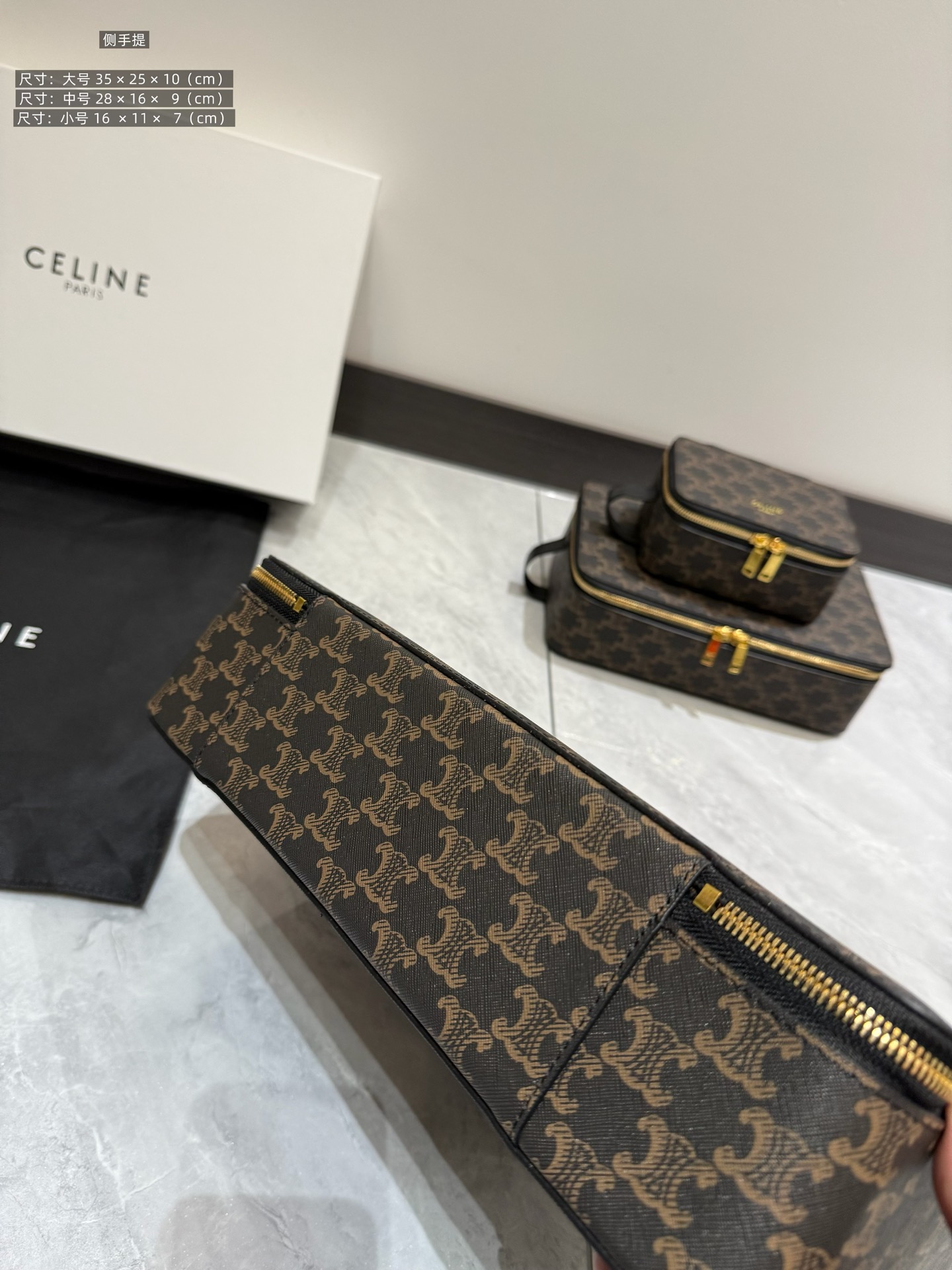 Celine Luxury Handbag Collection 6