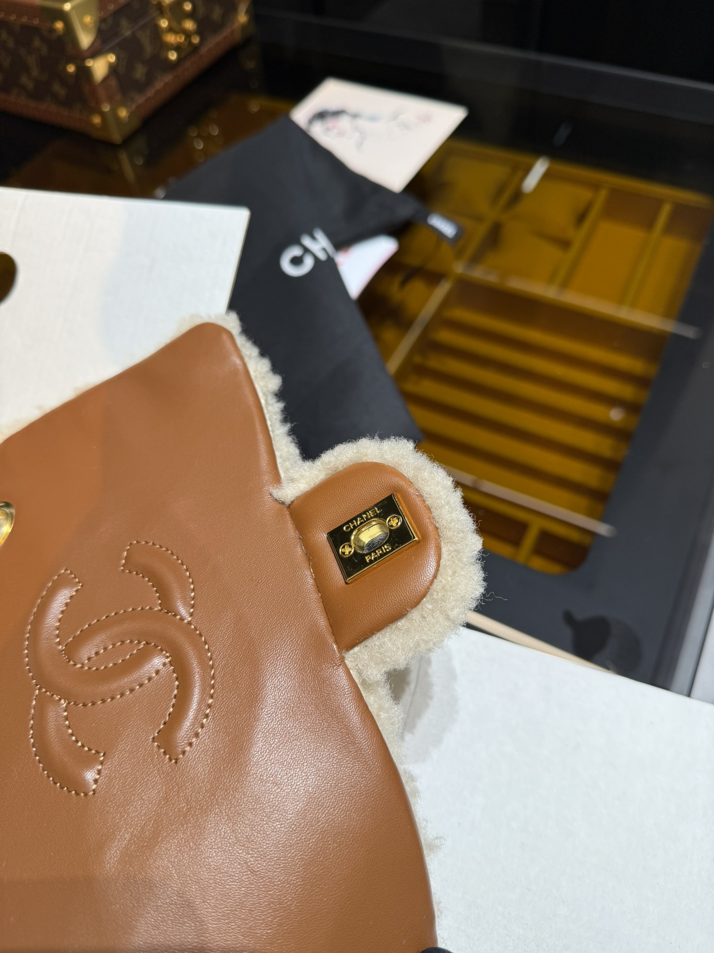 Chanel Luxury Handbag Collection 6
