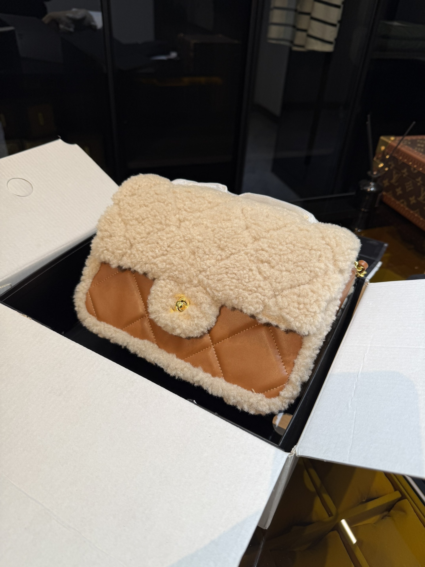 Chanel Luxury Handbag Collection 3