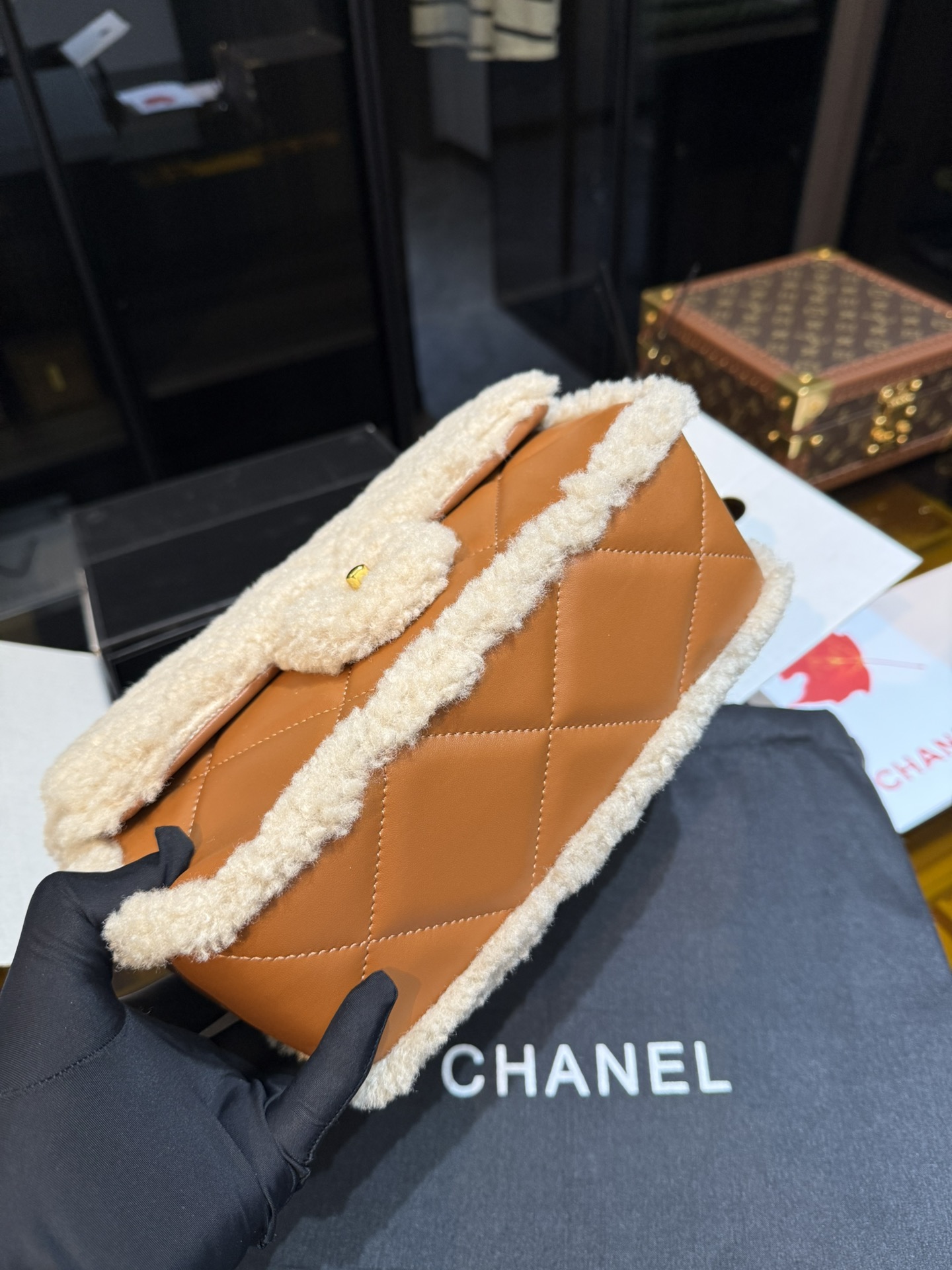 Chanel Luxury Handbag Collection 7
