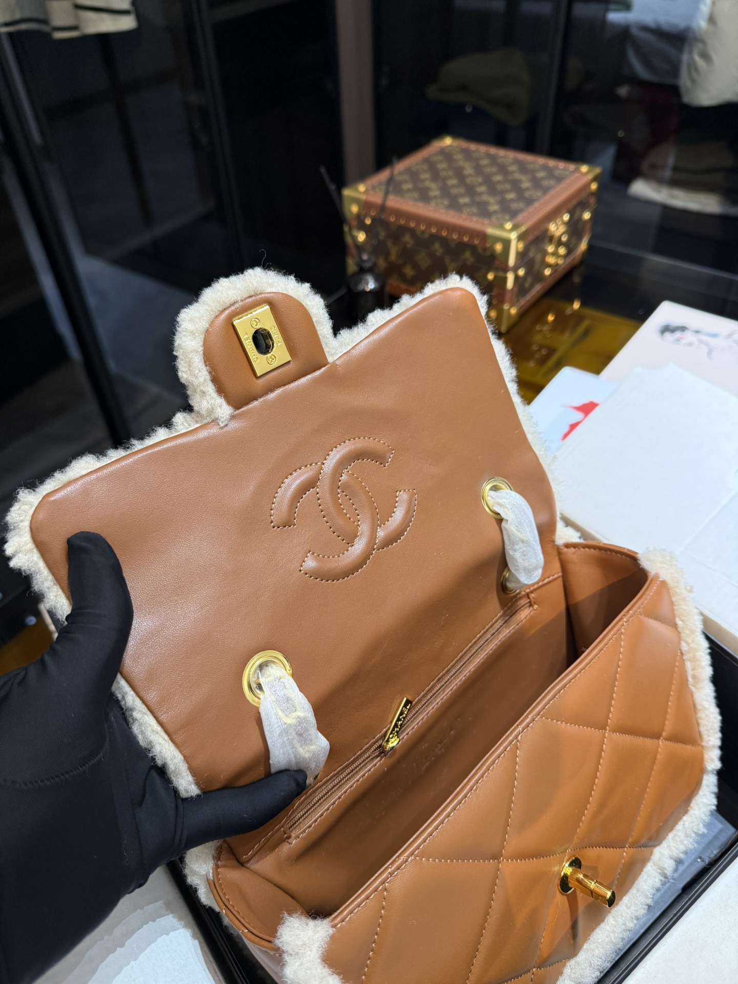 Chanel Luxury Handbag Collection 8