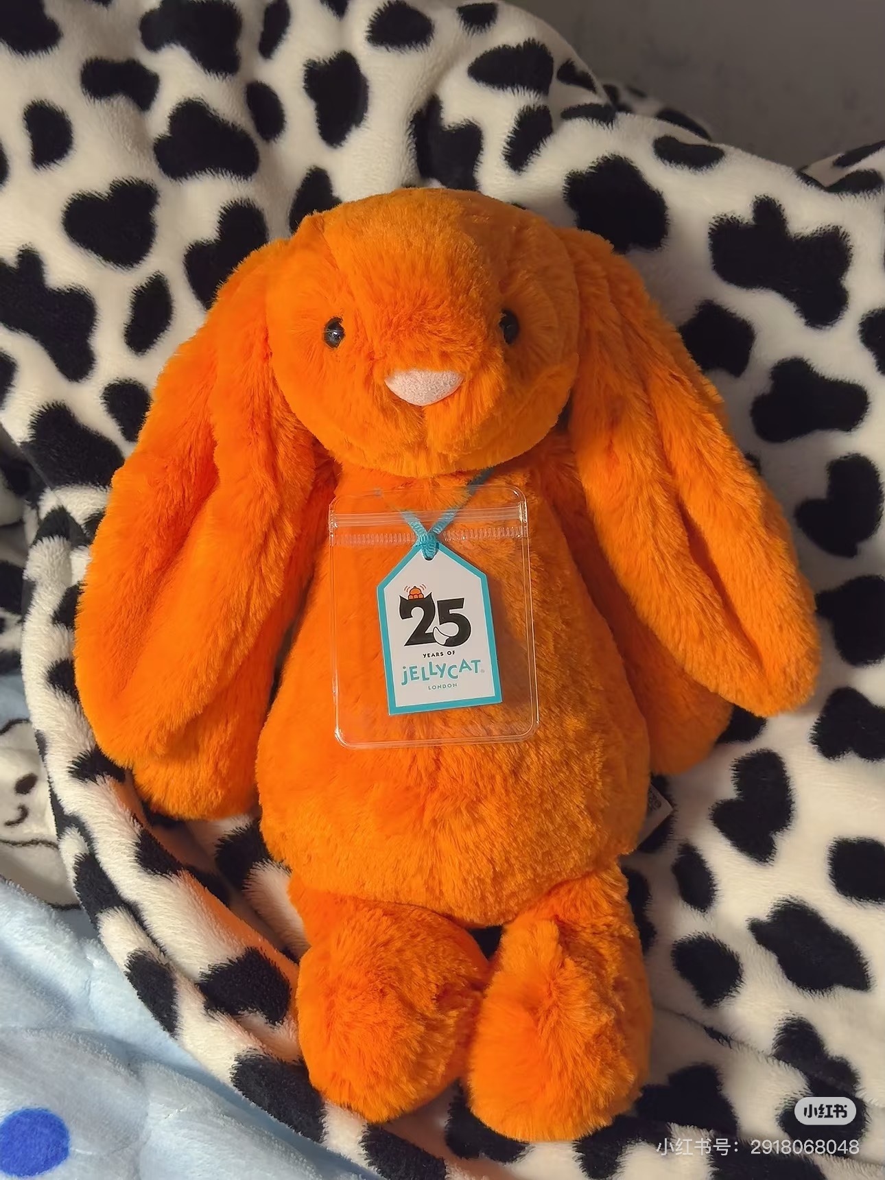 NO:809821,25th anniversary limited edition, the original face is super cute, how can such a beautiful little thing exist!  !  , Jellycat doll trendy department store1986090925周年限定,原生脸都超级超级可爱,怎么会有这么好看的小东西！！,Jellycat公仔潮品百货,accessory