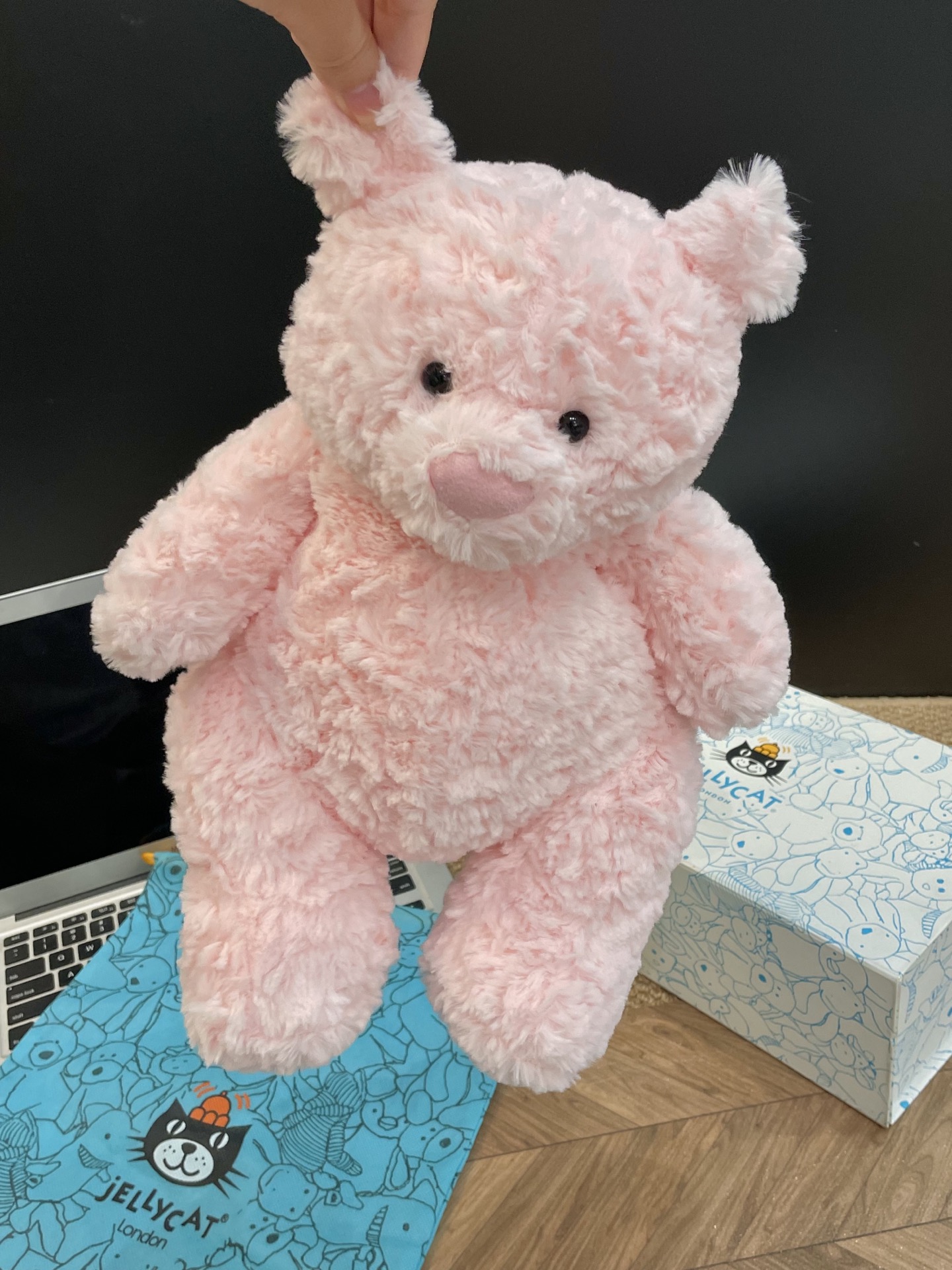 NO:810068,It can sit or stand and is also machine washable!  !  But it is best for everyone to wash it by hand. At this price, I tell you that you must buy it. Hahahaha, Jellycat doll trendy department store19860909是可以坐立的 而且也可以机洗！！ 但是最好大家手洗,这个价格我跟你们说一定要入手哈哈哈哈,Jellycat公仔潮品百货,accessory