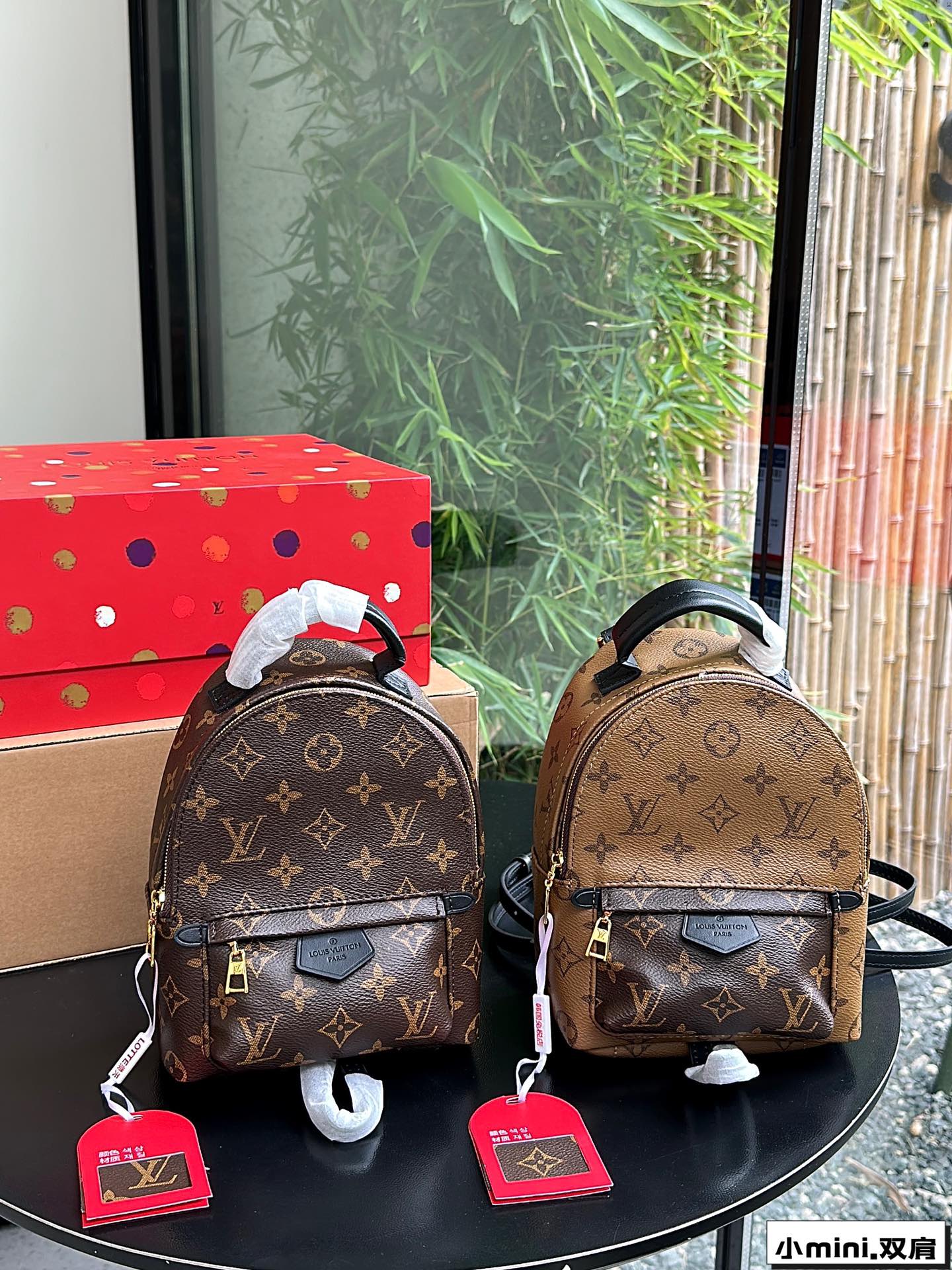 Louis Vuitton LV Palm Springs Taschen Rucksack Mini