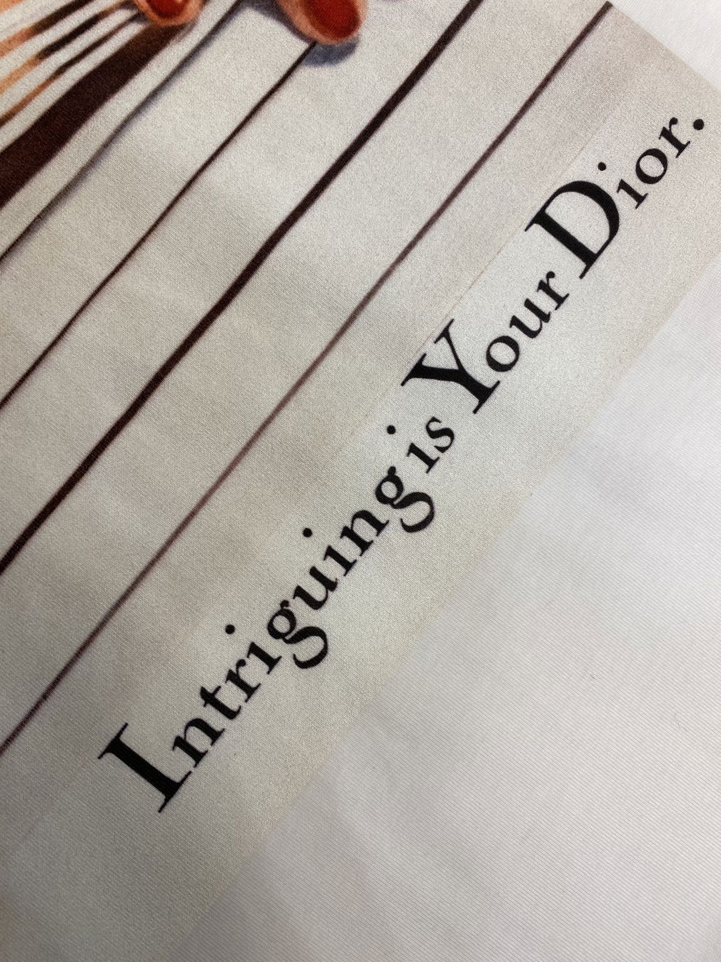 2025 Dior Men’s Autumn T-shirt with 1980s Aesthetic Style in Cotton-Lined Fabric - 图片 7