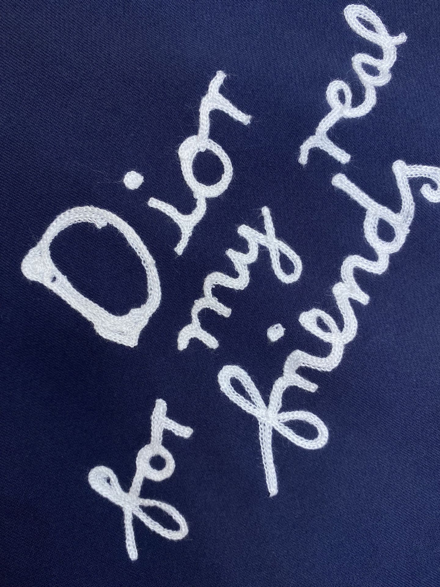 Dior 25SS Pure Logo Long Sleeve Vest with Imported Embroidery and Custom Trademark – Review - 图片 5
