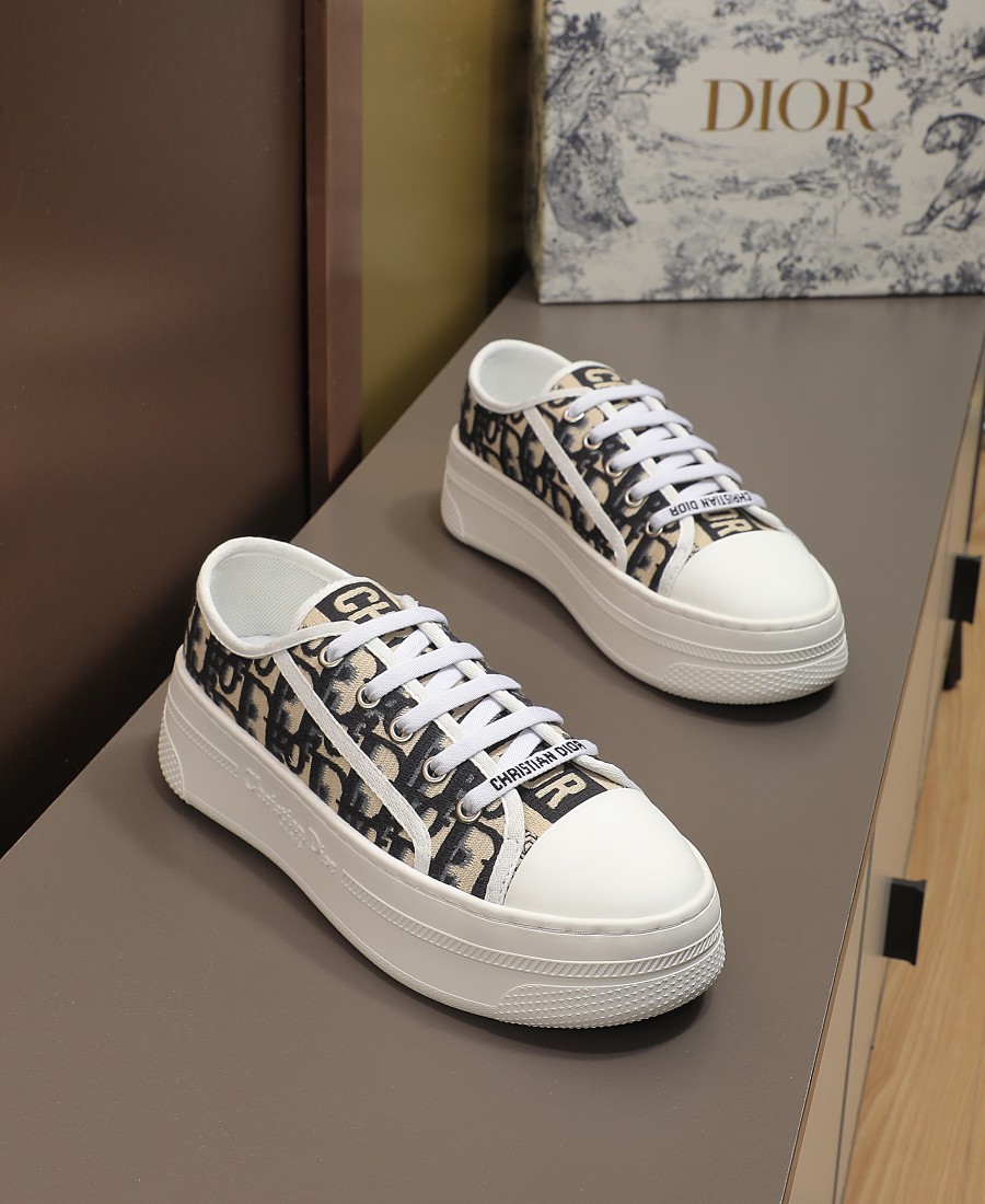 Dior Skateboard Shoes White