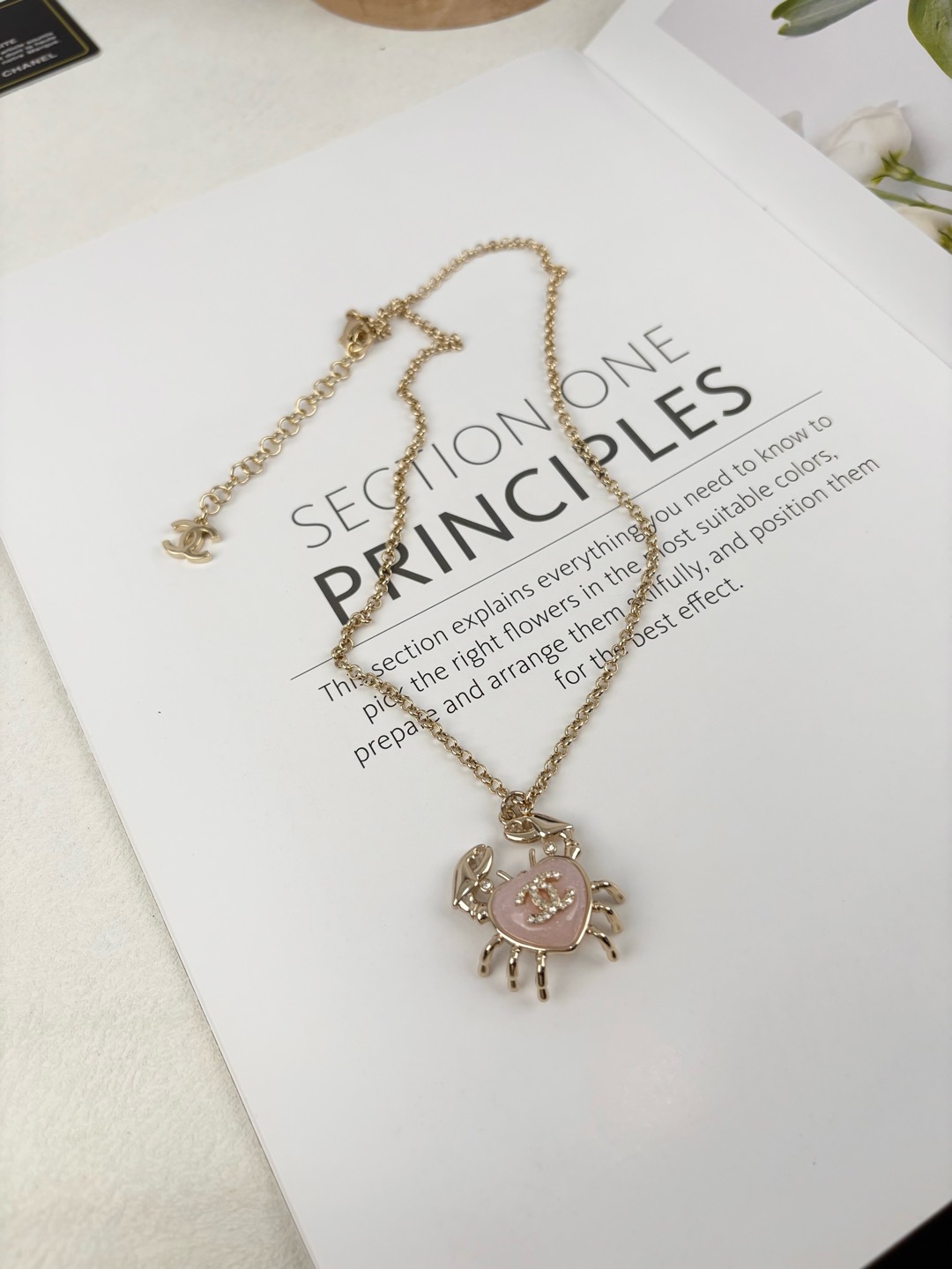Chanel luxury necklace 7