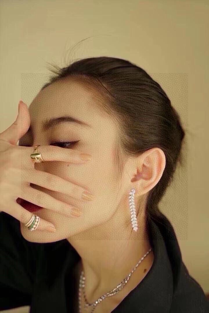 aPm 棕榈垂坠流苏耳环女 晚宴年会长款耳坠叶子设计感耳饰，自然之美 梦幻时尚s925纯银手工微镶晶钻。