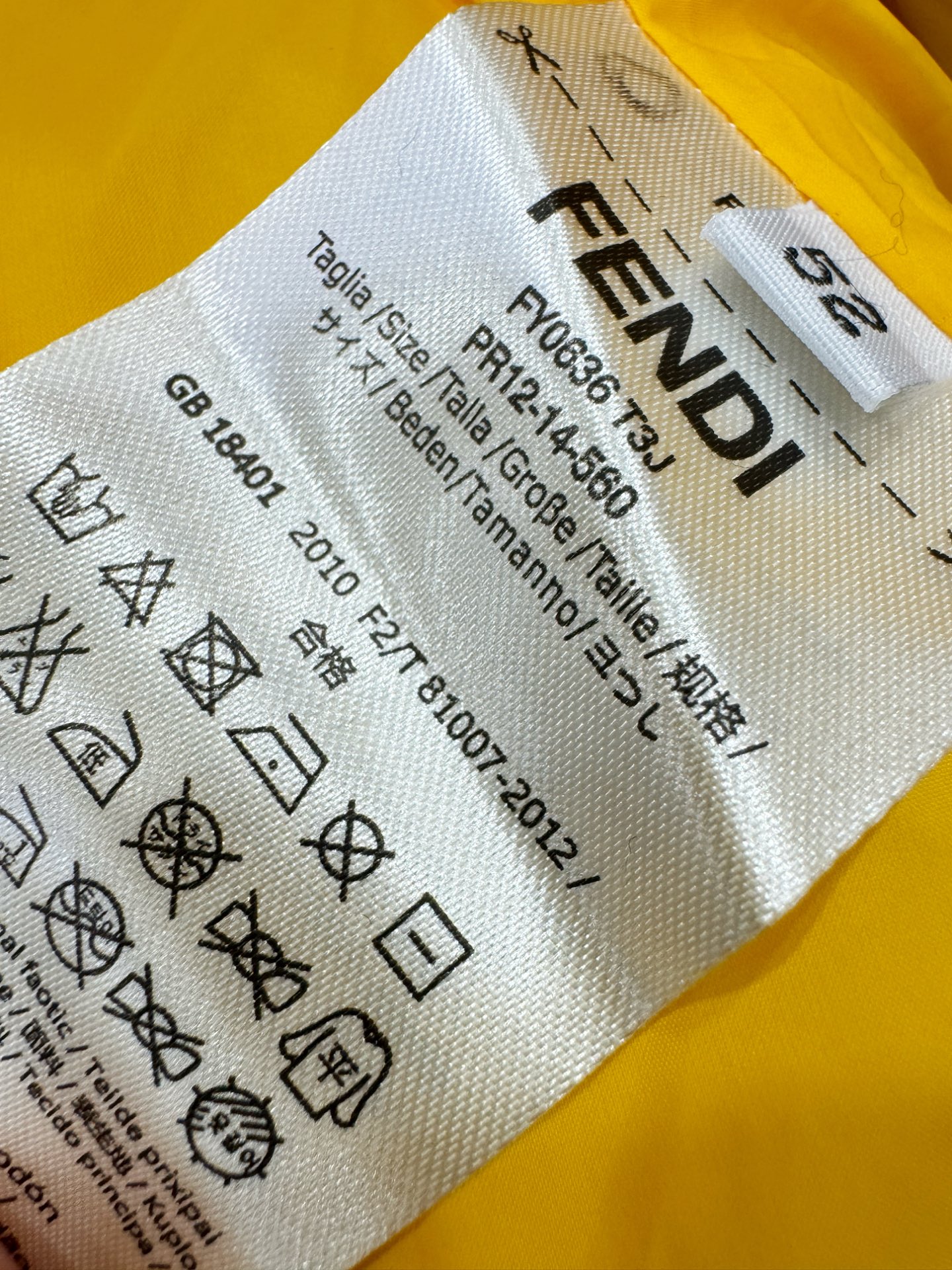 鹅绒高版本FENDI芬迪 2025新款羽绒服，秀场新品，品相非常完美，专柜高科技防水面料，内里90%白鹅