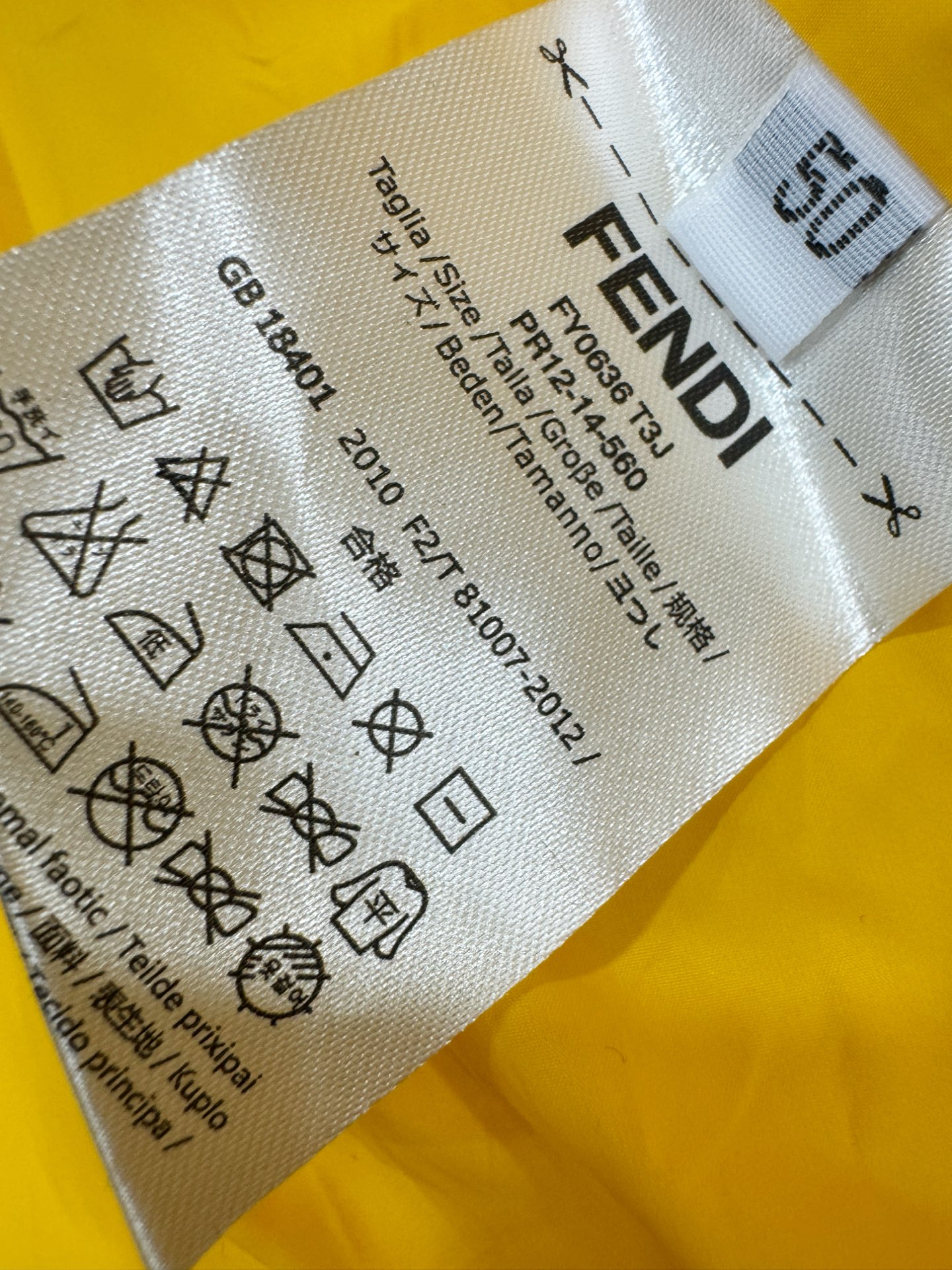 鹅绒高版本FENDI芬迪 2025新款羽绒服，秀场新品，品相非常完美，专柜高科技防水面料，内里90%白鹅