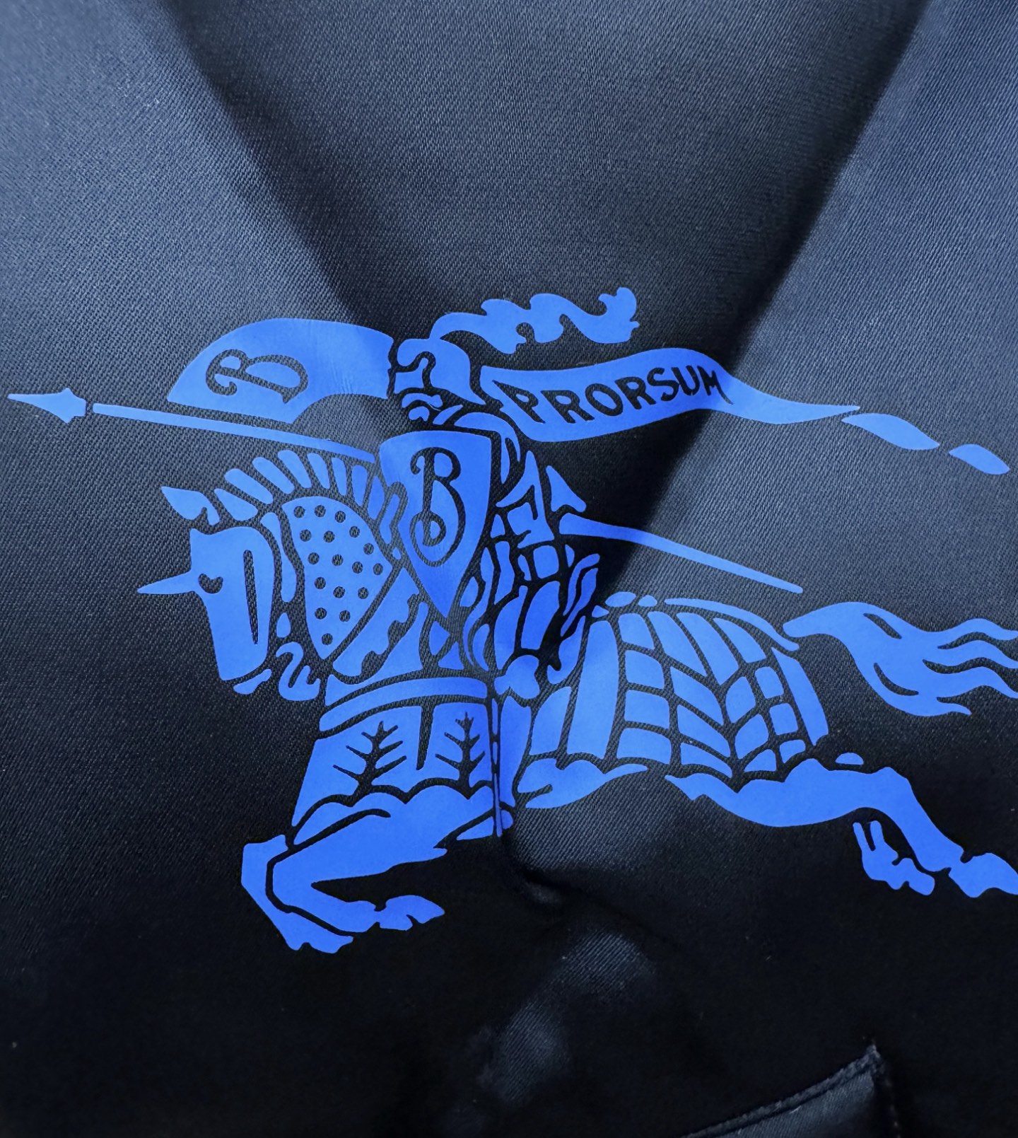 鹅绒高版本BURBERRY巴宝莉 2025新款羽绒服，秀场新品，品相非常完美，专柜高科技防水面料，内里9