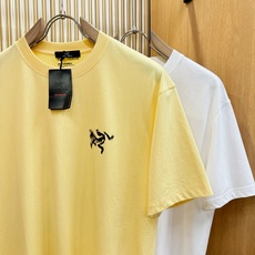 ARC‘TERYX/始祖鸟 2026新款短袖T恤!男女同款!走秀图案时尚休闲短袖T恤衫!设计logo设计 ARC‘TERYX/始祖鸟 2026新款短袖T恤!男女同款!走秀图案时尚休闲短袖T恤衫!设计logo设计