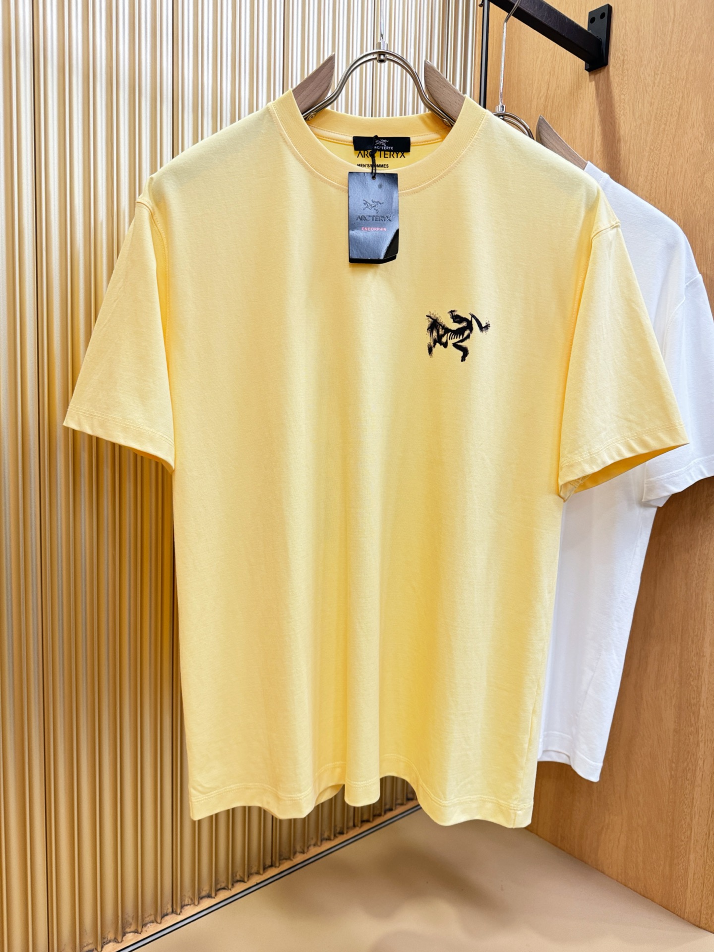 ARC‘TERYX/始祖鸟 2026新款短袖T恤！男女同款！走秀图案时尚休闲短袖T恤衫！设计logo设计