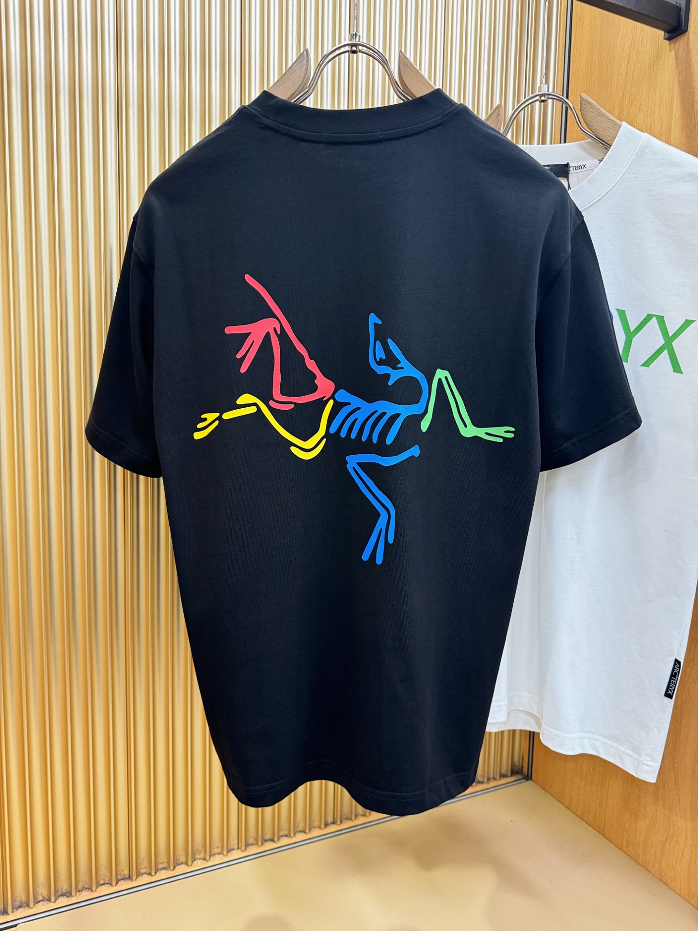 ARC‘TERYX/始祖鸟  2026新款短袖T恤！男女同款！走秀图案时尚休闲短袖T恤衫！设计logo设计！极具设计精选