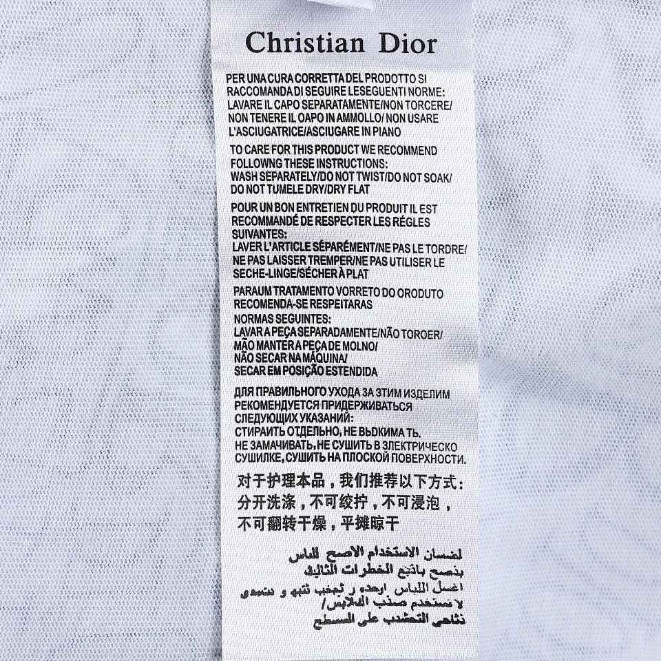 DIOR 迪奥 23ss前后图案印花短袖T恤