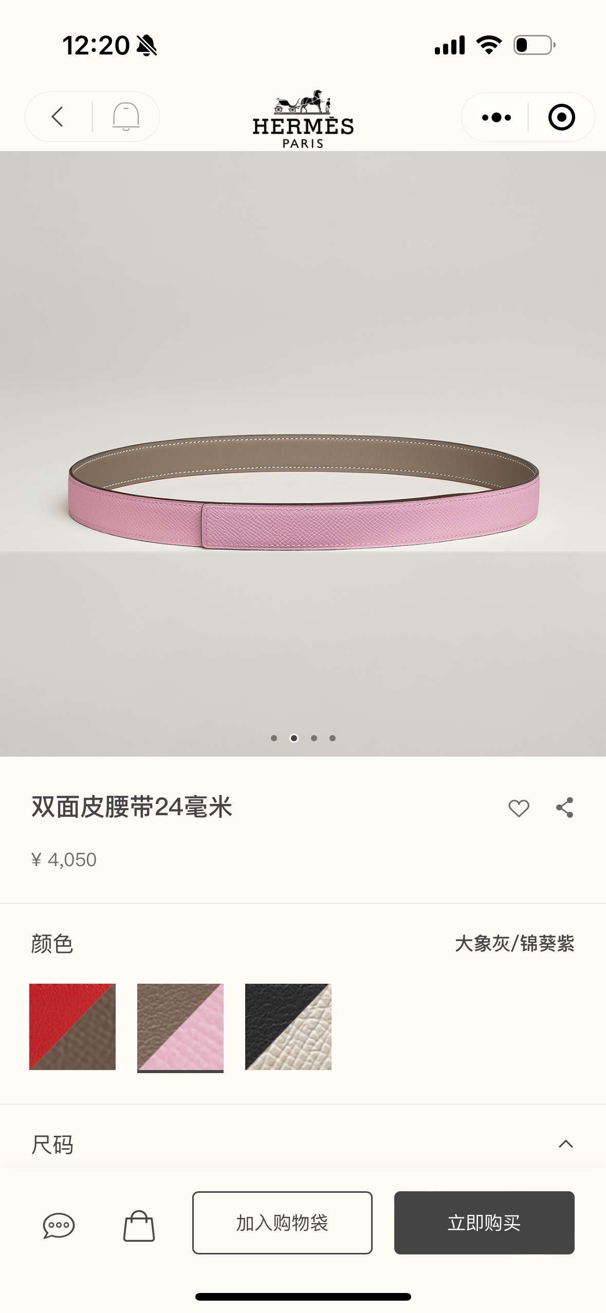 Hermes Style Leather Women's Belts Lookbook Reference image 1