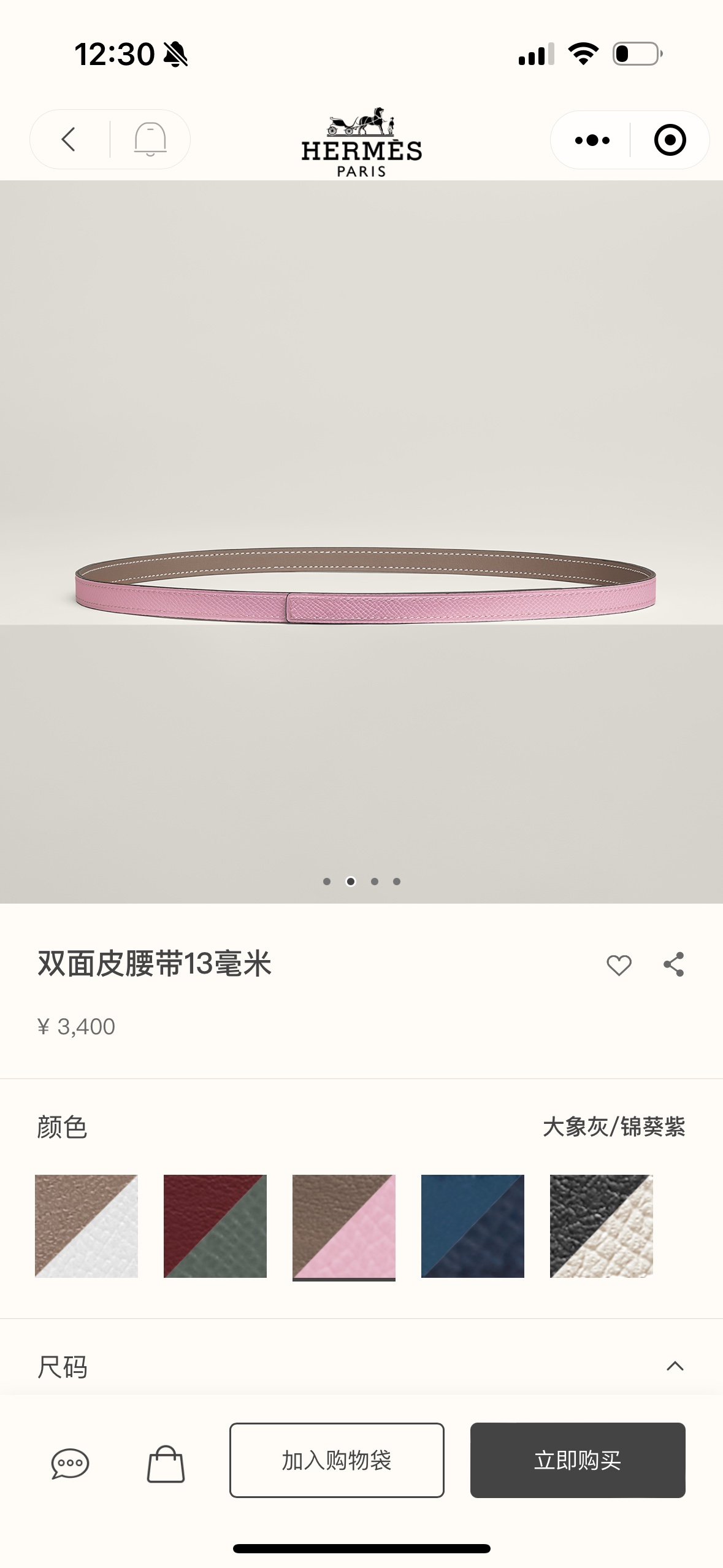 Hermes Style Beige Leather Women's Belts Lookbook Reference image 1