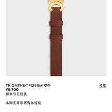 CELINE马衔扣麂皮腰带。。CELINE马衔扣麂皮腰带,柔软麂皮+金属马衔扣,简约又有辨识度!棕色麂皮 CELINE马衔扣麂皮腰带。。CELINE马衔扣麂皮腰带,柔软麂皮+金属马衔扣,简约又有辨识度!棕色麂皮