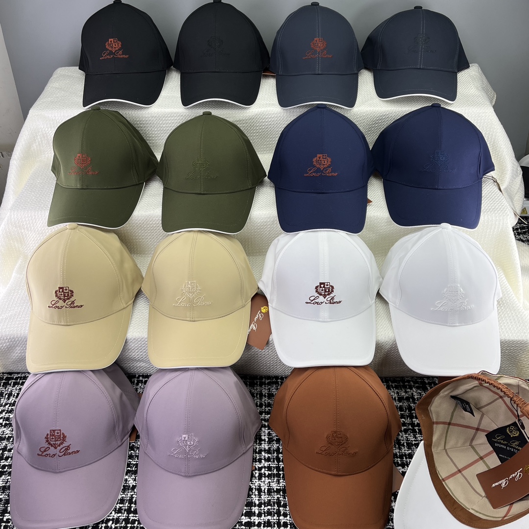 P84 🎀LP HARD-CAP BASEBALL CAP 15 COLOR - 图片 1