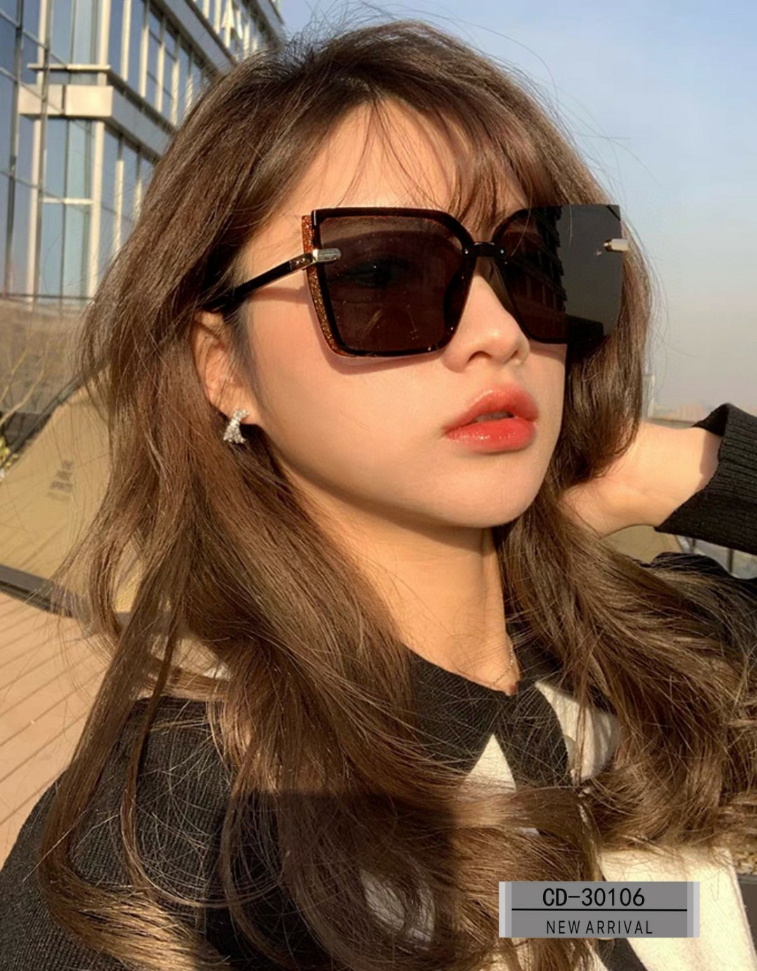 Dior Sunglasses Resin Fashion