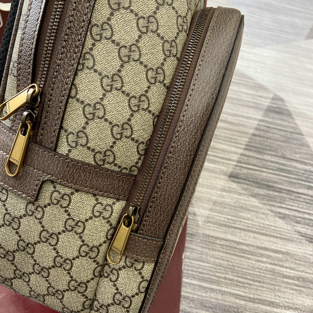 Gucci Brown PVC Leather Backpack with Signature Web Stripe and Logo 13 i1744217820 3558 0