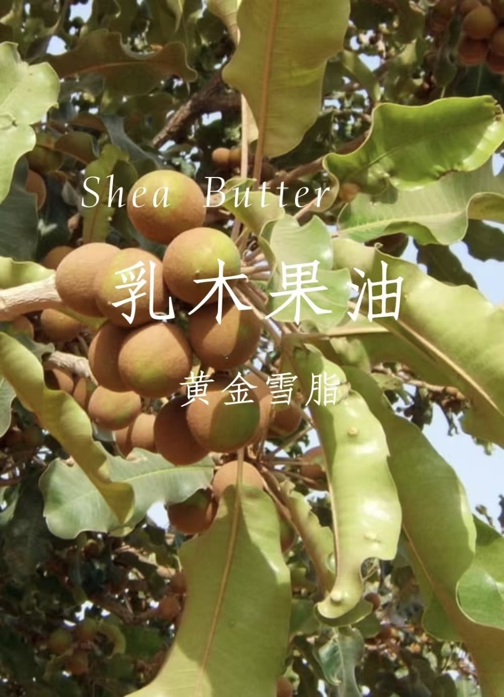 欧米茄 Omega 高定典藏名品高定奢养美妆护肤品口红粉底 #95D480C5 2