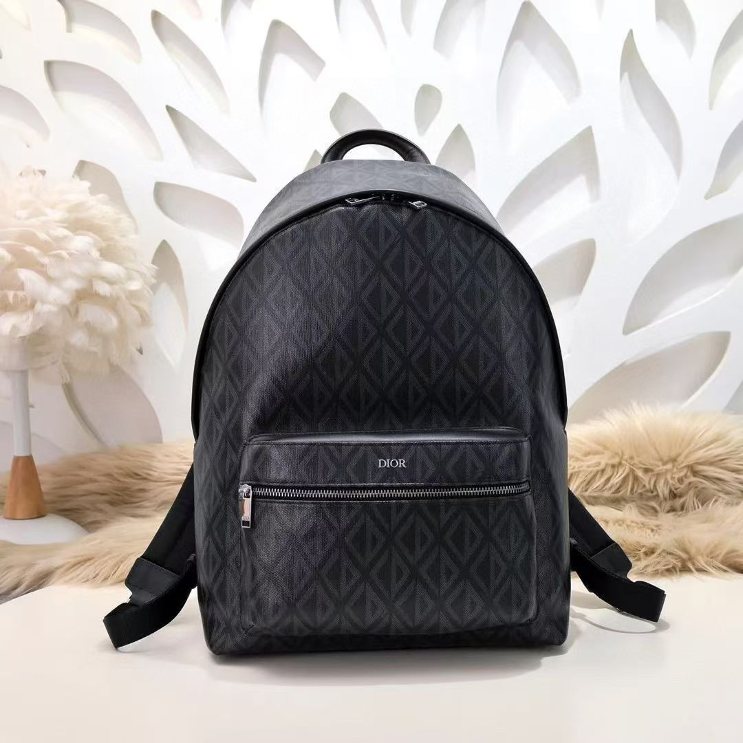 Dior Backpack Grey everyday