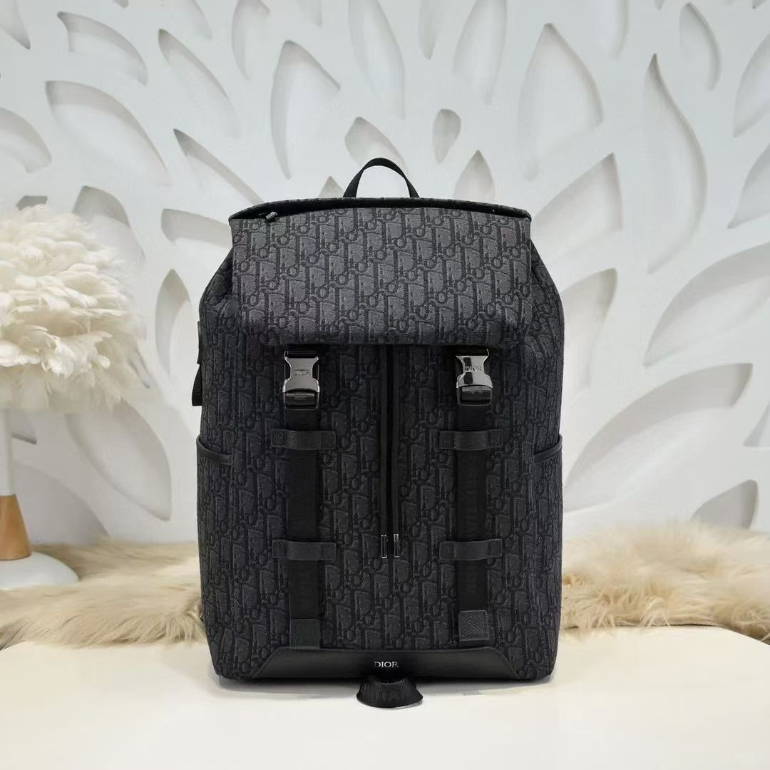 Dior Backpack Grey everyday