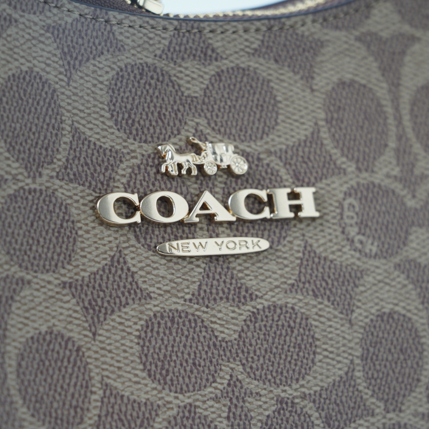 Coach 纯 蔻驰 COACH