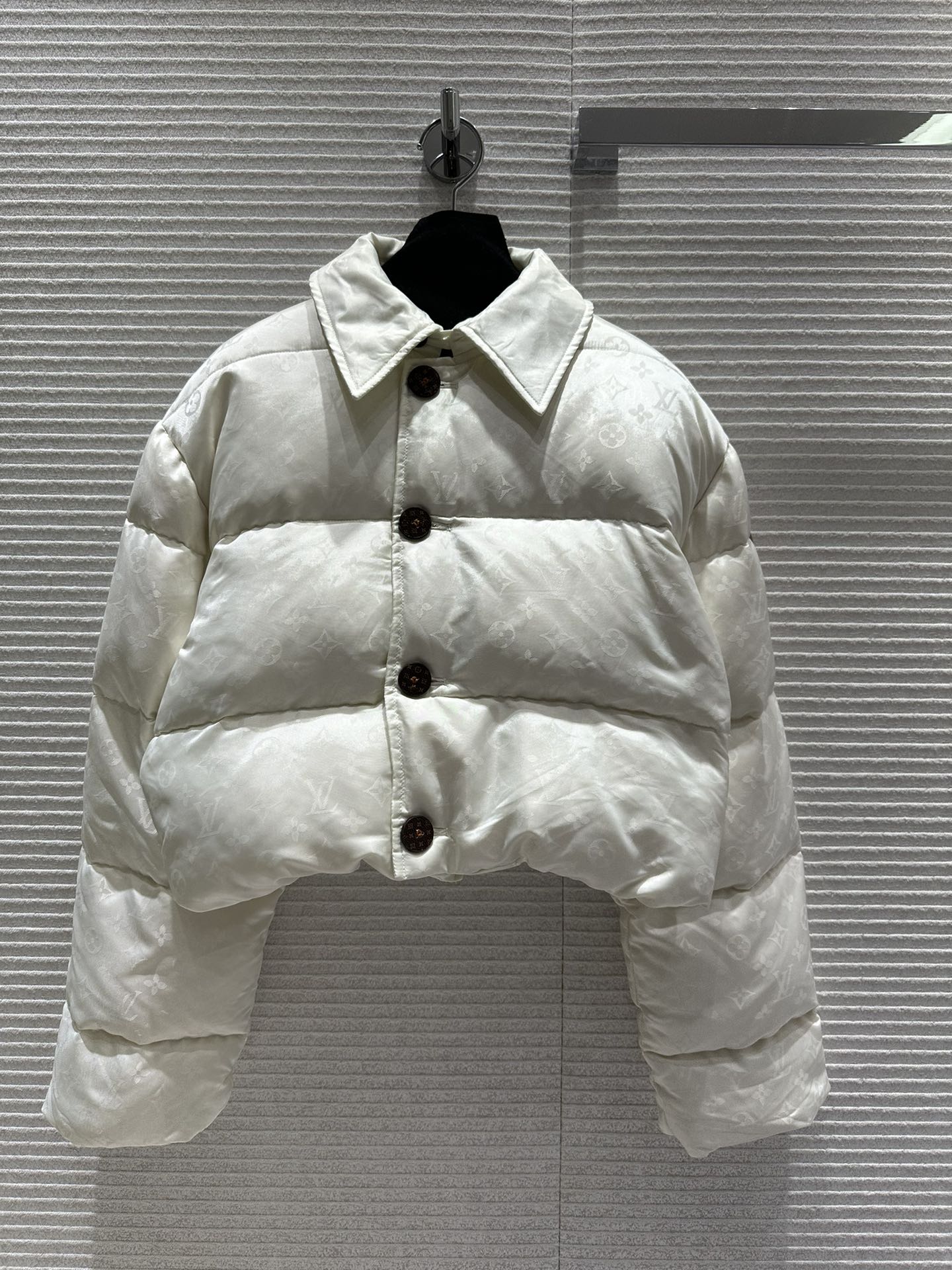 Louis Vuitton Abbigliamento Giacca & Soprabito Piumino Bianco Giù d’oca bianca Collezione Autunno/Inverno