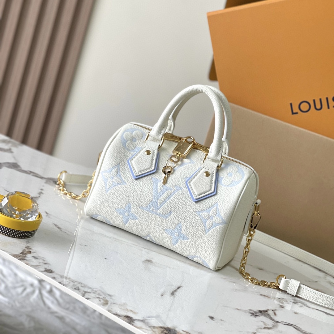 Louis Vuitton LV Speedy Bolsos de mano Acero completo M46883