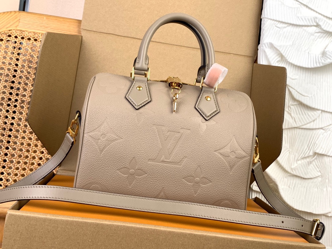 Louis Vuitton LV Speedy AAAAA
 Bolsos de mano Acero completo M59273