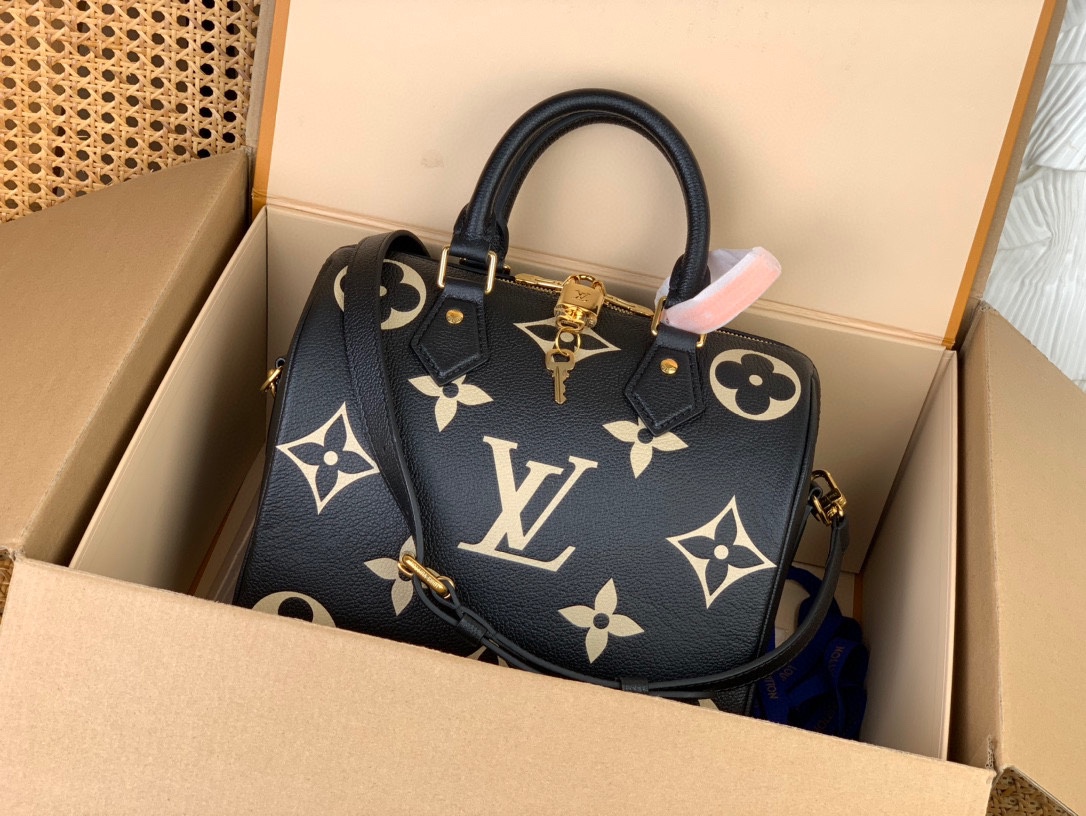 Louis Vuitton LV Speedy Bolsos de mano Acero completo M58947