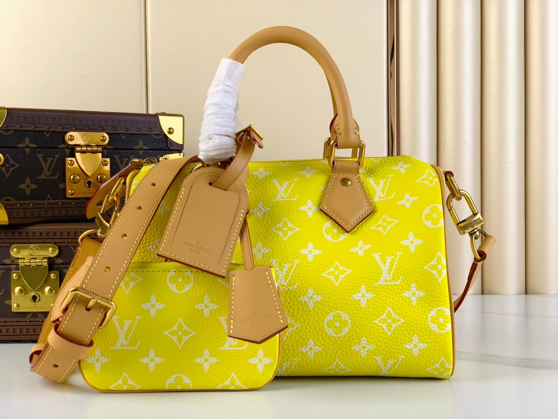 Louis Vuitton LV Speedy Torby Torebki Niebieski Brązowy Zielony Czerwony Żółty Polerowanie Płótno Skóra krowia owcza M24443