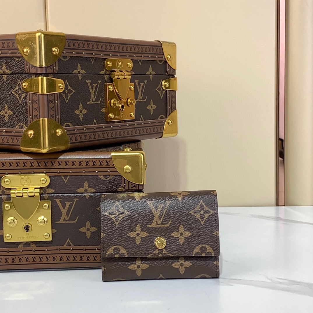 Louis Vuitton Monederos Falso de lujo
 Monogram Eclipse Lona M12598