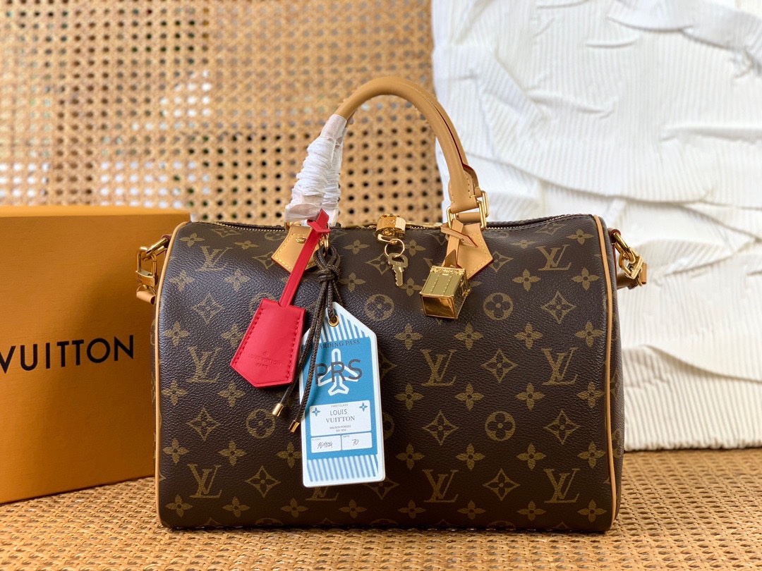 Louis Vuitton LV Speedy Bolsos de mano Acero completo M11945