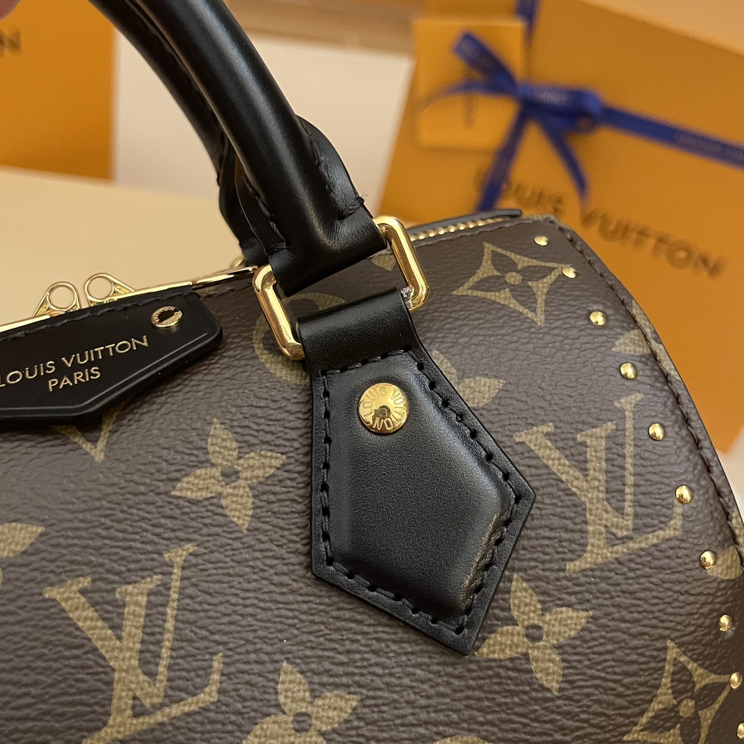Louis Vuitton Speedy Trunk 20: Monogram Canvas, Gold-Tone Hardware, Iconic Style 4 i1731825045 4753 2