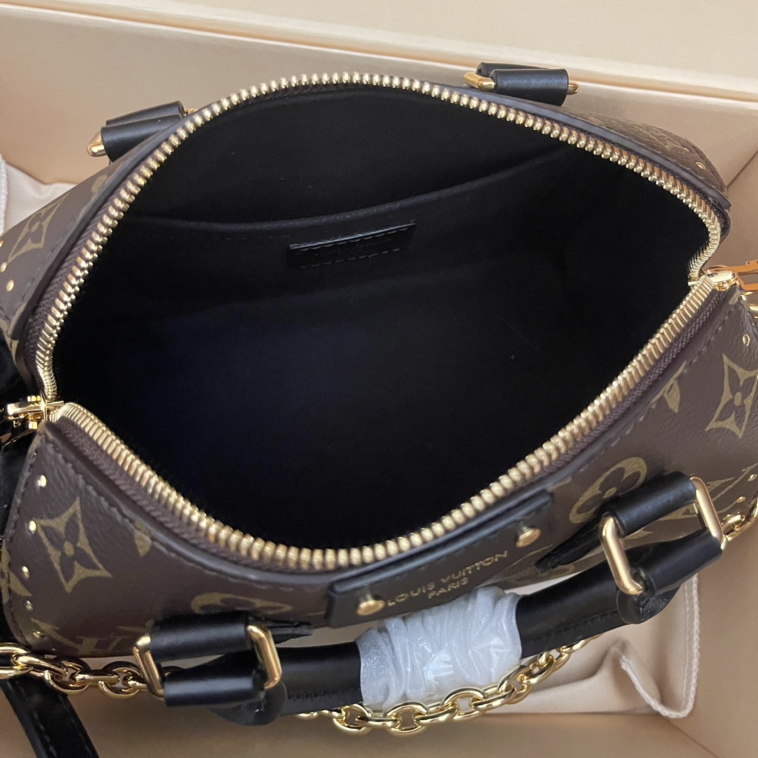 Louis Vuitton Speedy Trunk 20: Monogram Canvas, Gold-Tone Hardware, Iconic Style 9 i1731825045 5099 7