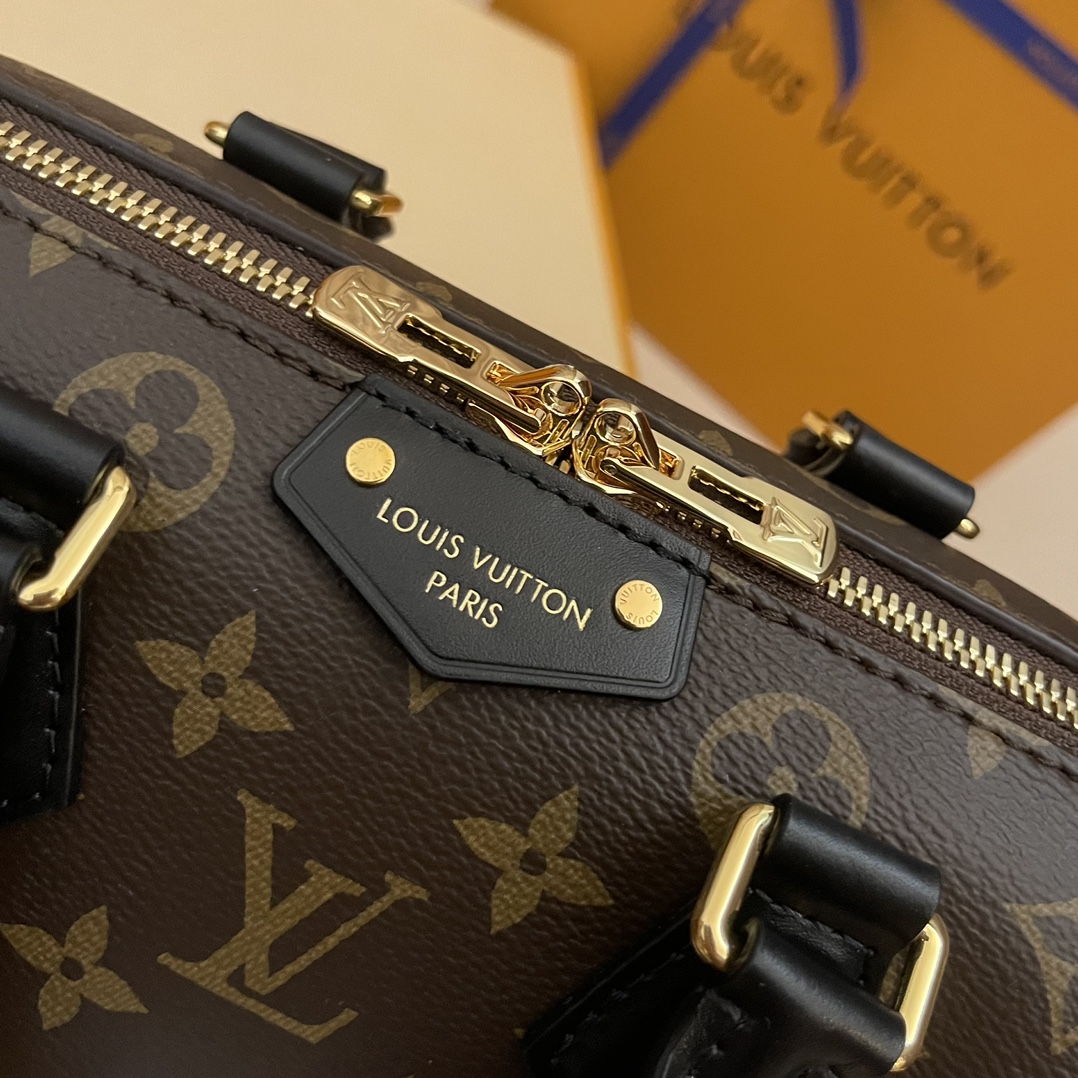 Louis Vuitton Speedy Trunk 20: Monogram Canvas, Gold-Tone Hardware, Iconic Style 5 i1731825045 730 6