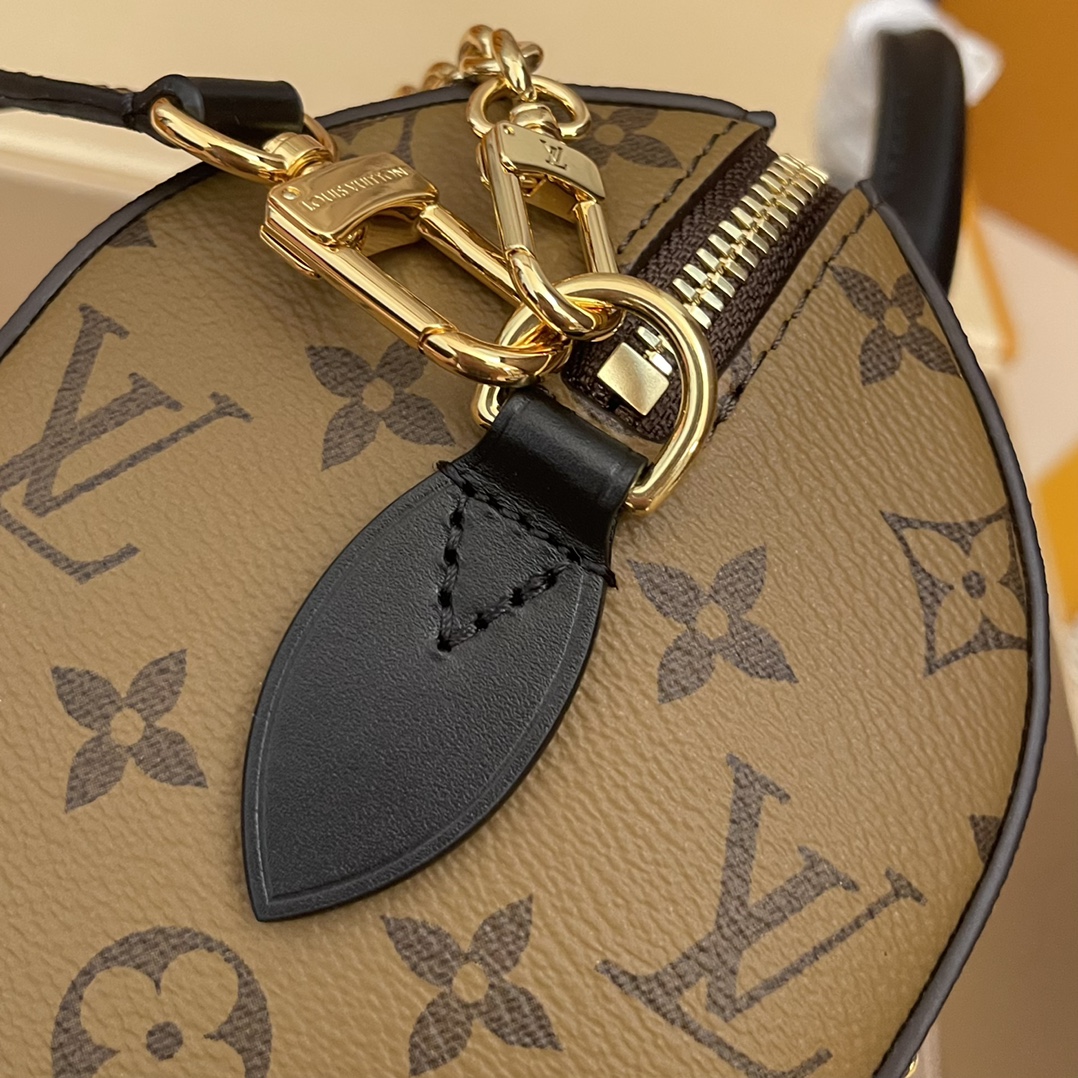 Louis Vuitton Speedy Trunk 20: Monogram Canvas, Gold-Tone Hardware, Iconic Style 7 i1731825045 8350 3