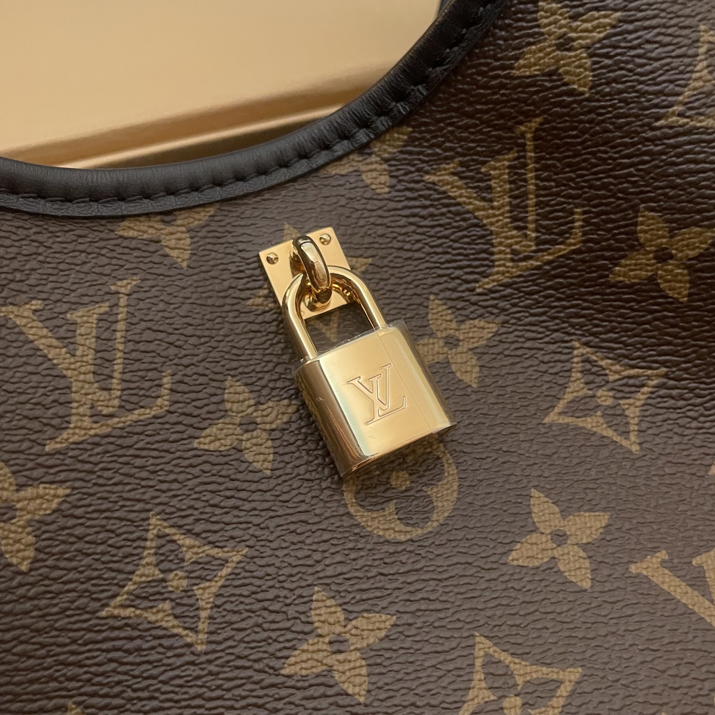 Louis Vuitton Flower Hobo Bag: Monogram Canvas, Stylish and Functional 3 i1745497800106 6286 0 2