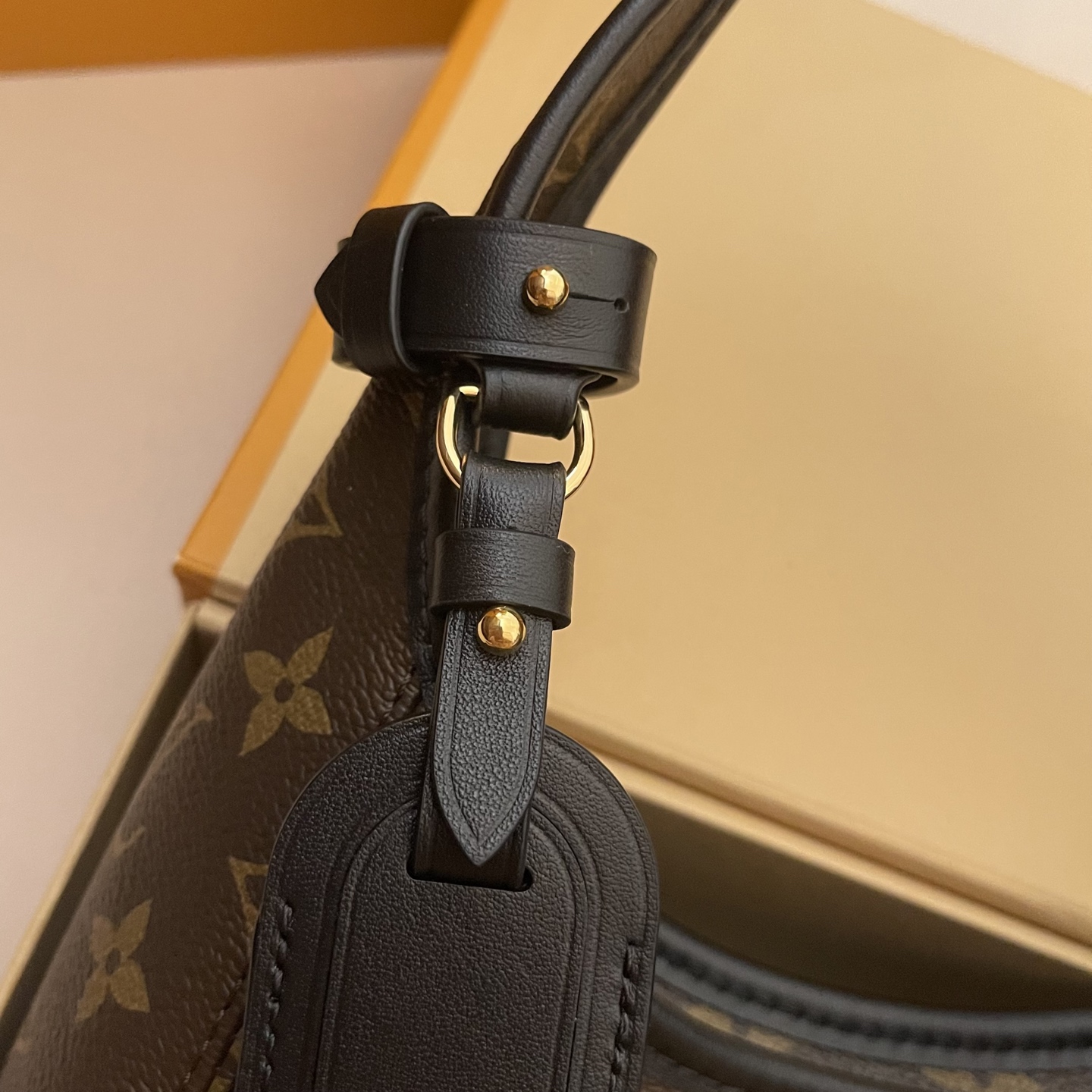 Louis Vuitton Flower Hobo Bag: Monogram Canvas, Stylish and Functional 4 i1745497820463 3552 0 3