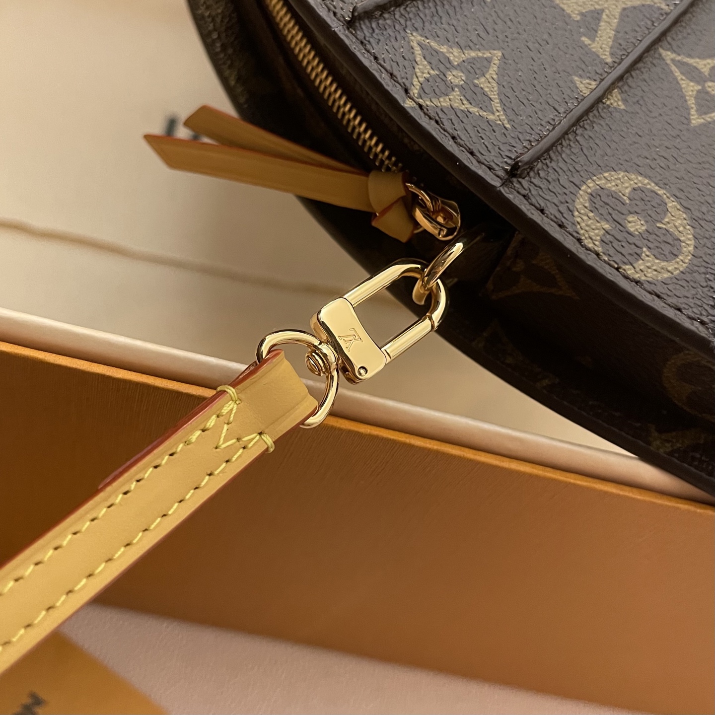 Louis Vuitton Monogram Canvas Fan Bag - Limited Edition Collector's Item 7 i1745674101682 187 0 5