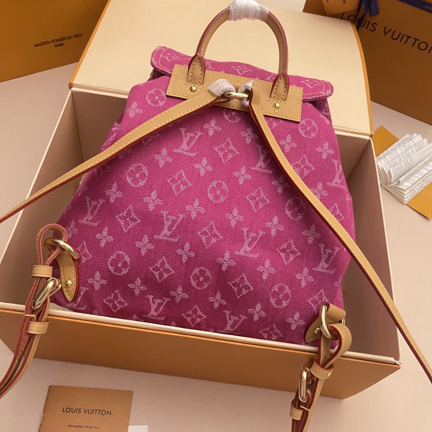 Louis Vuitton Pink Denim Backpack Vintage Limited Edition - M95240 2 i1752588485058 5976 0 1