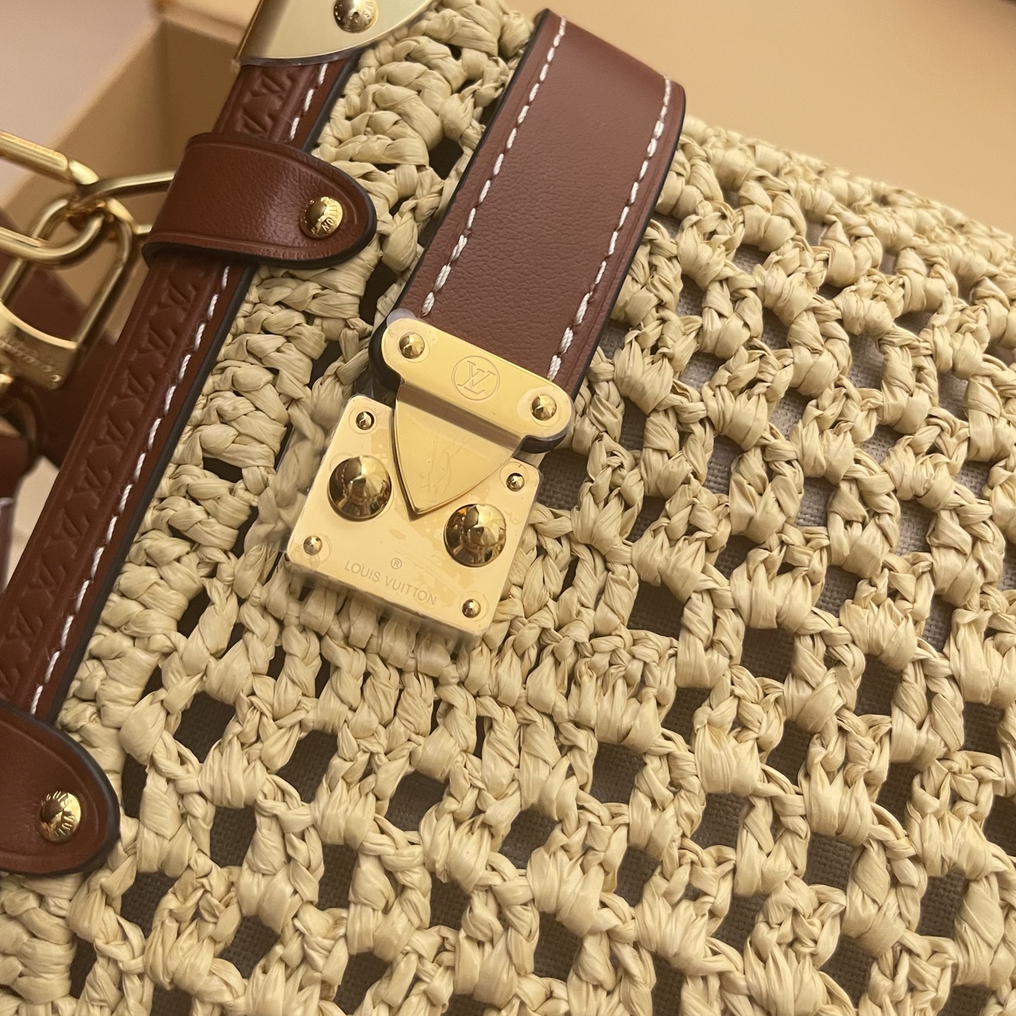 Louis Vuitton Side Trunk Medium Raffia Bag with Leather Trim 4 i1752589382847 3937 0 3