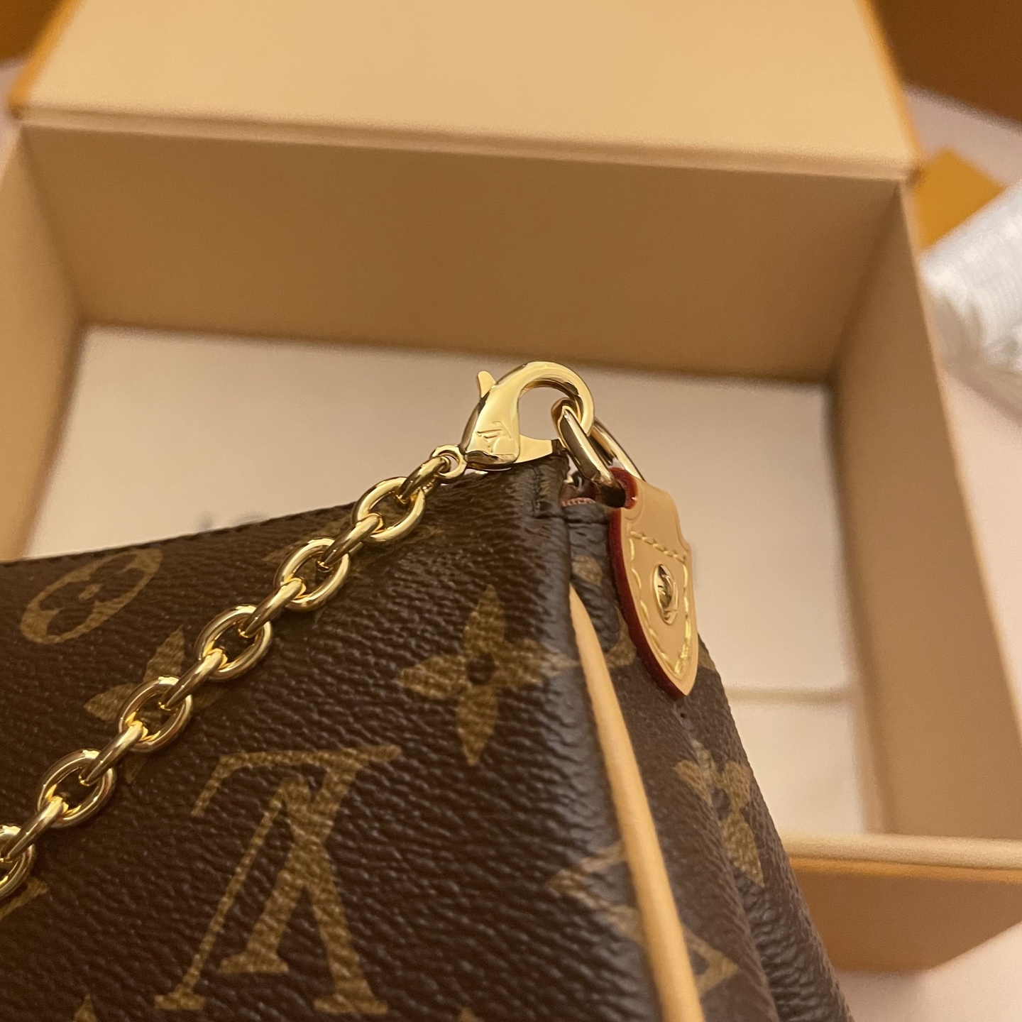 Louis Vuitton Monogram Pochette Eva Bag with Gold Chain - Stylish & Compact 6 i1752589515179 1545 0 9