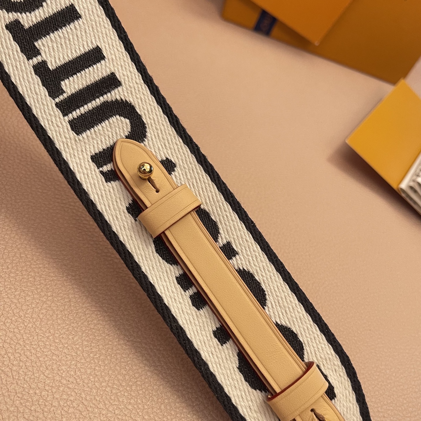 Louis Vuitton Adjustable Bag Strap in Canvas with Spring Hook Design 6 i1754821773646 4700 0 5